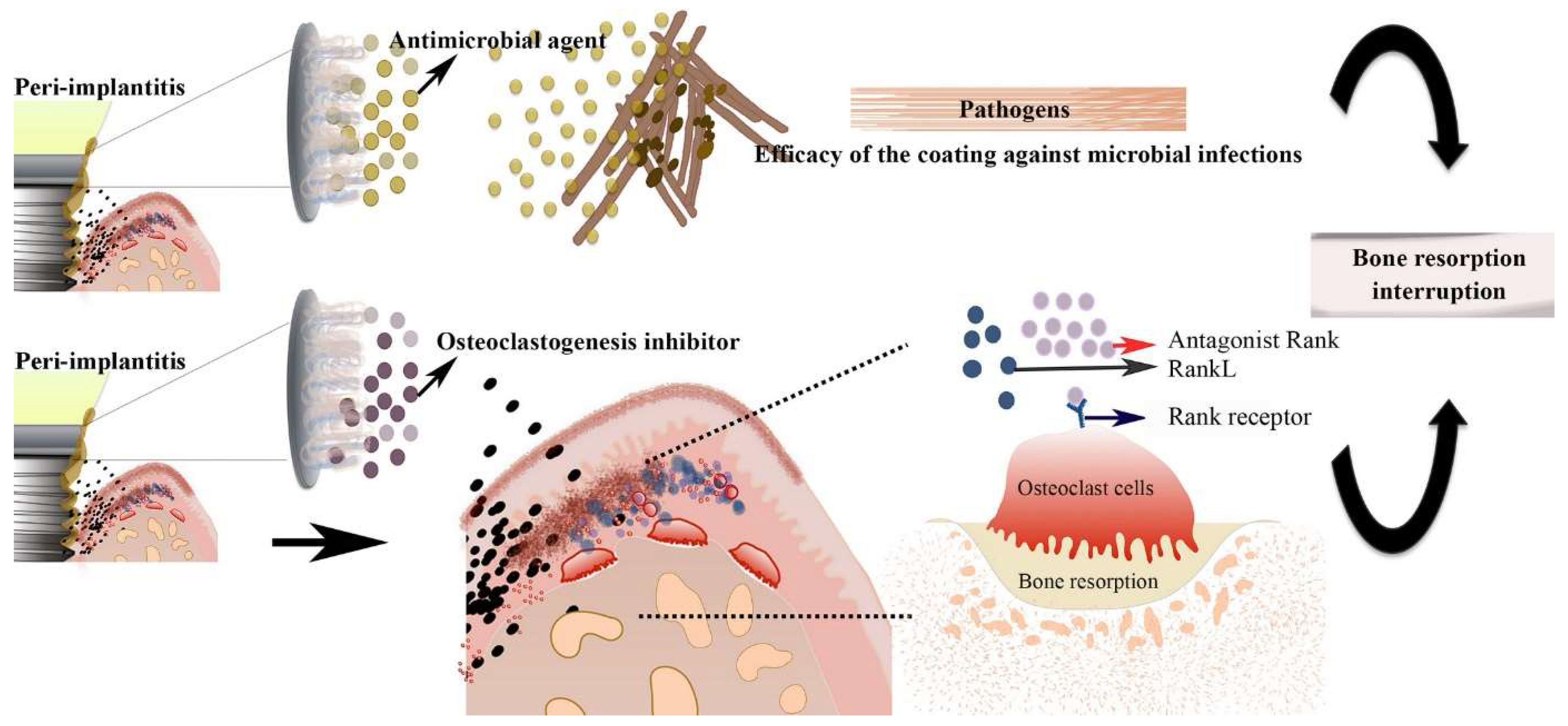 Prosthesis 06 00028 g002