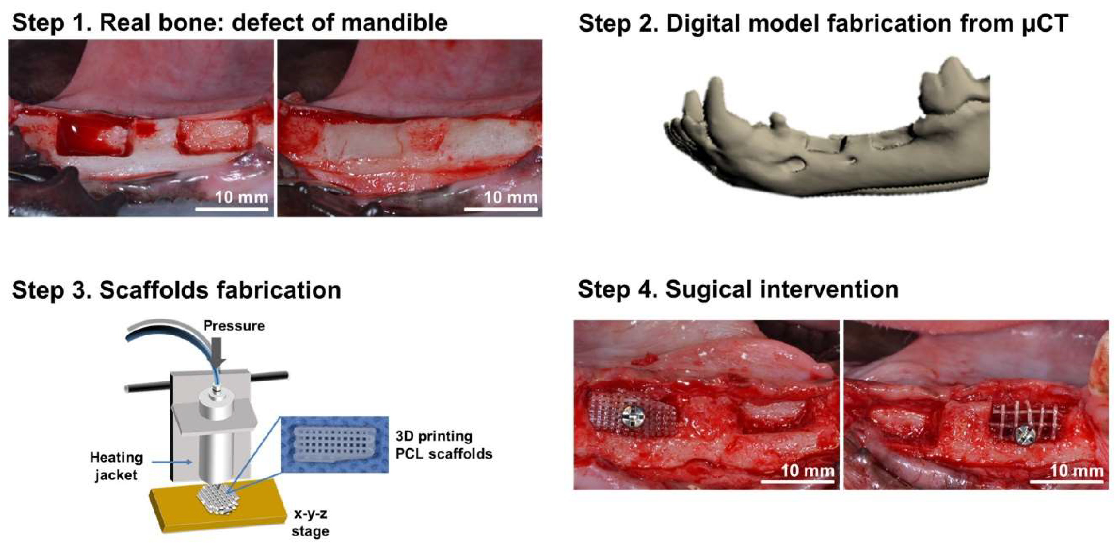 Prosthesis 06 00028 g003