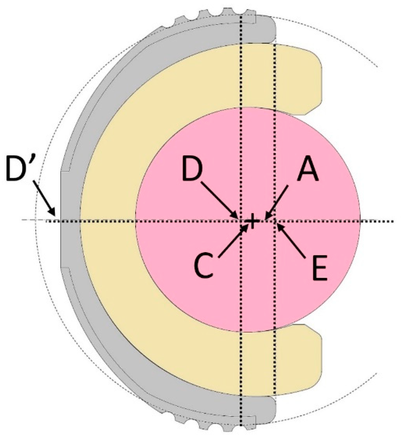 Prosthesis 06 00029 g001