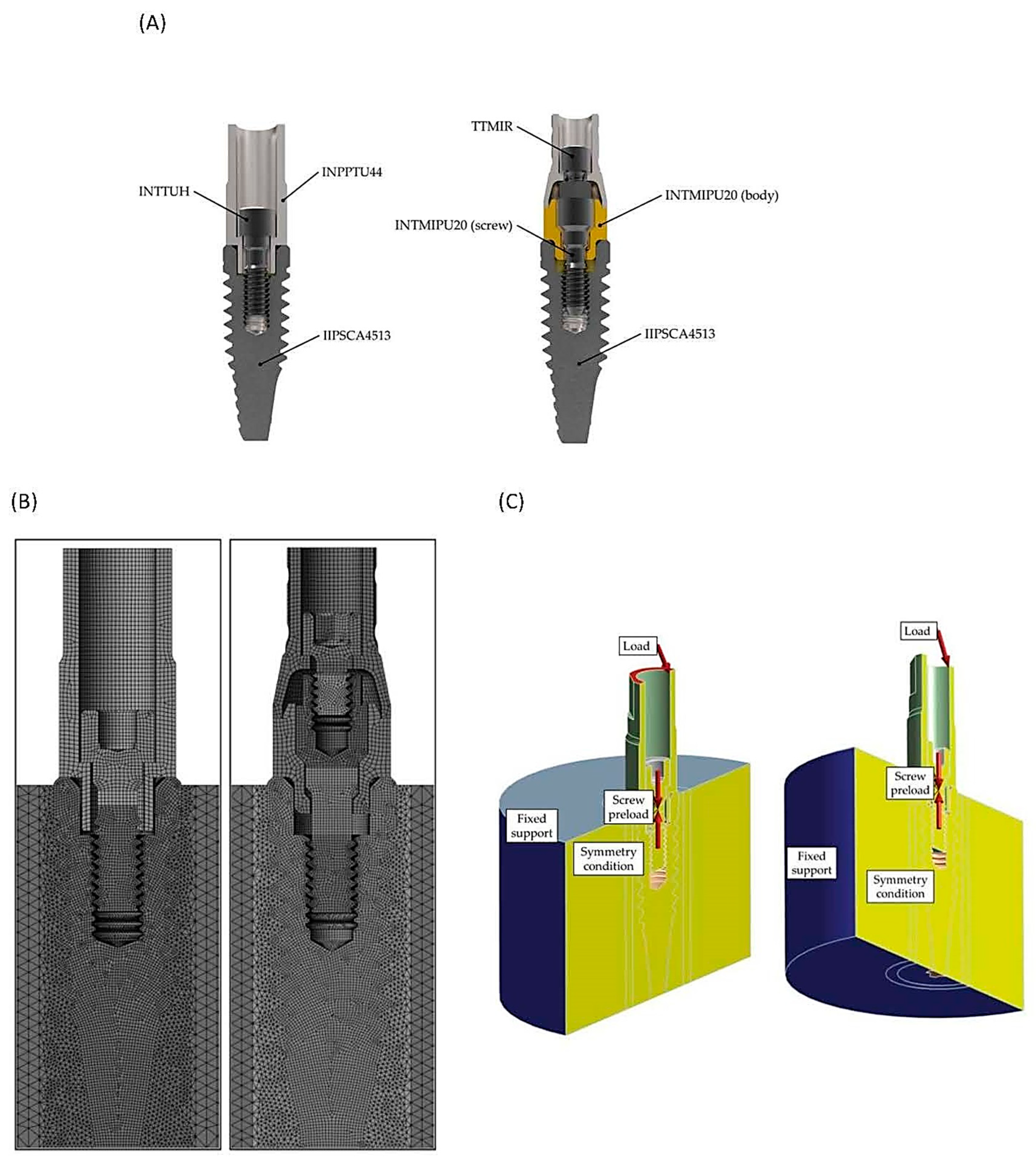 Prosthesis 06 00031 g001