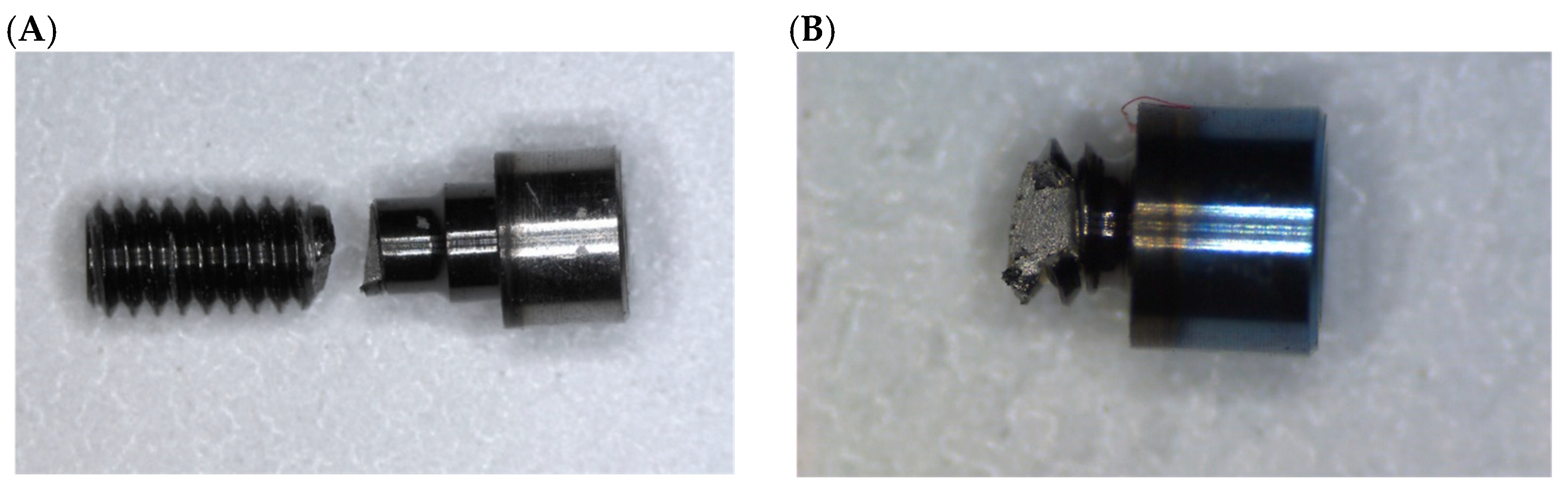 Prosthesis 06 00031 g006