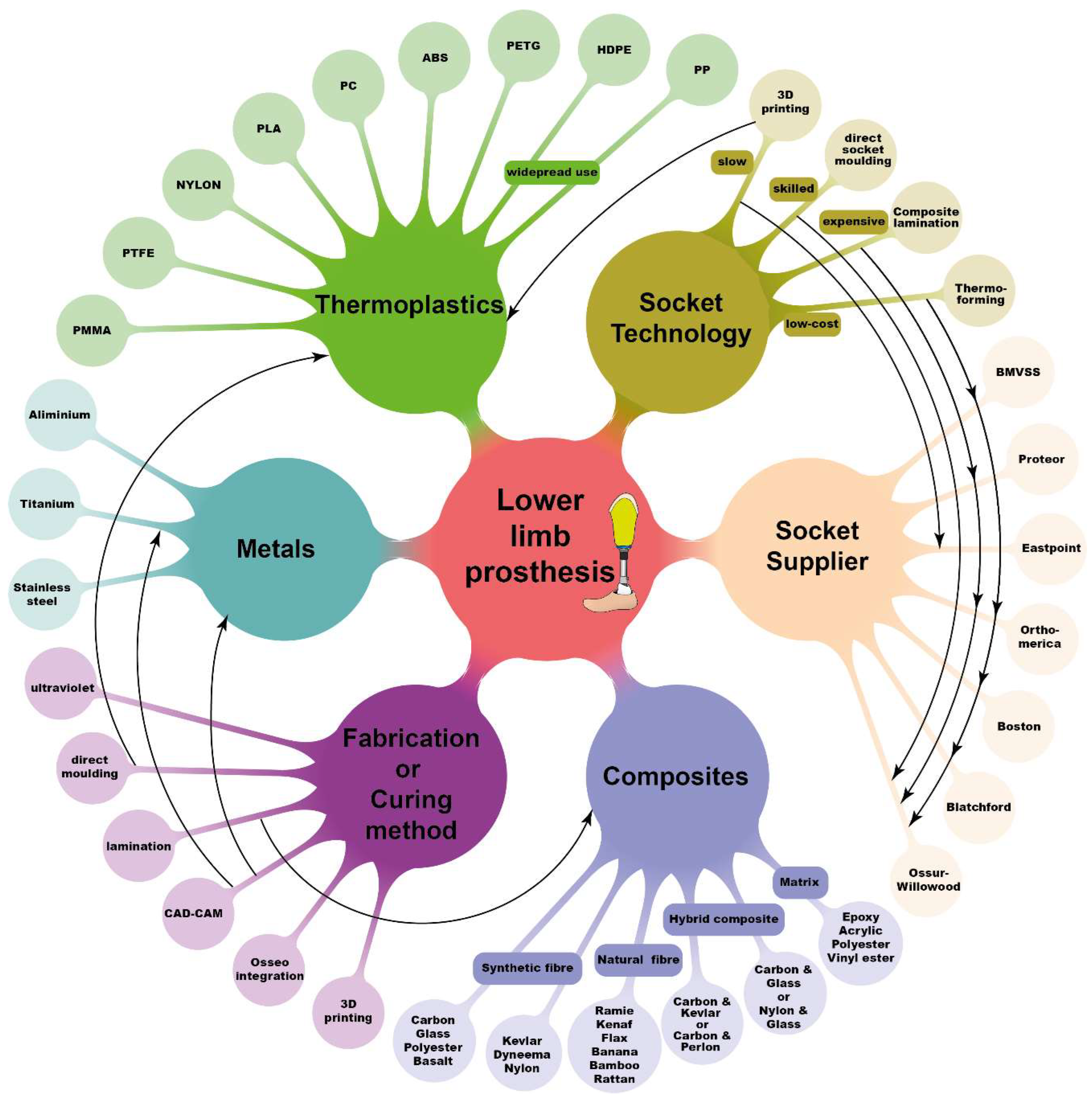 Prosthesis 06 00033 g001