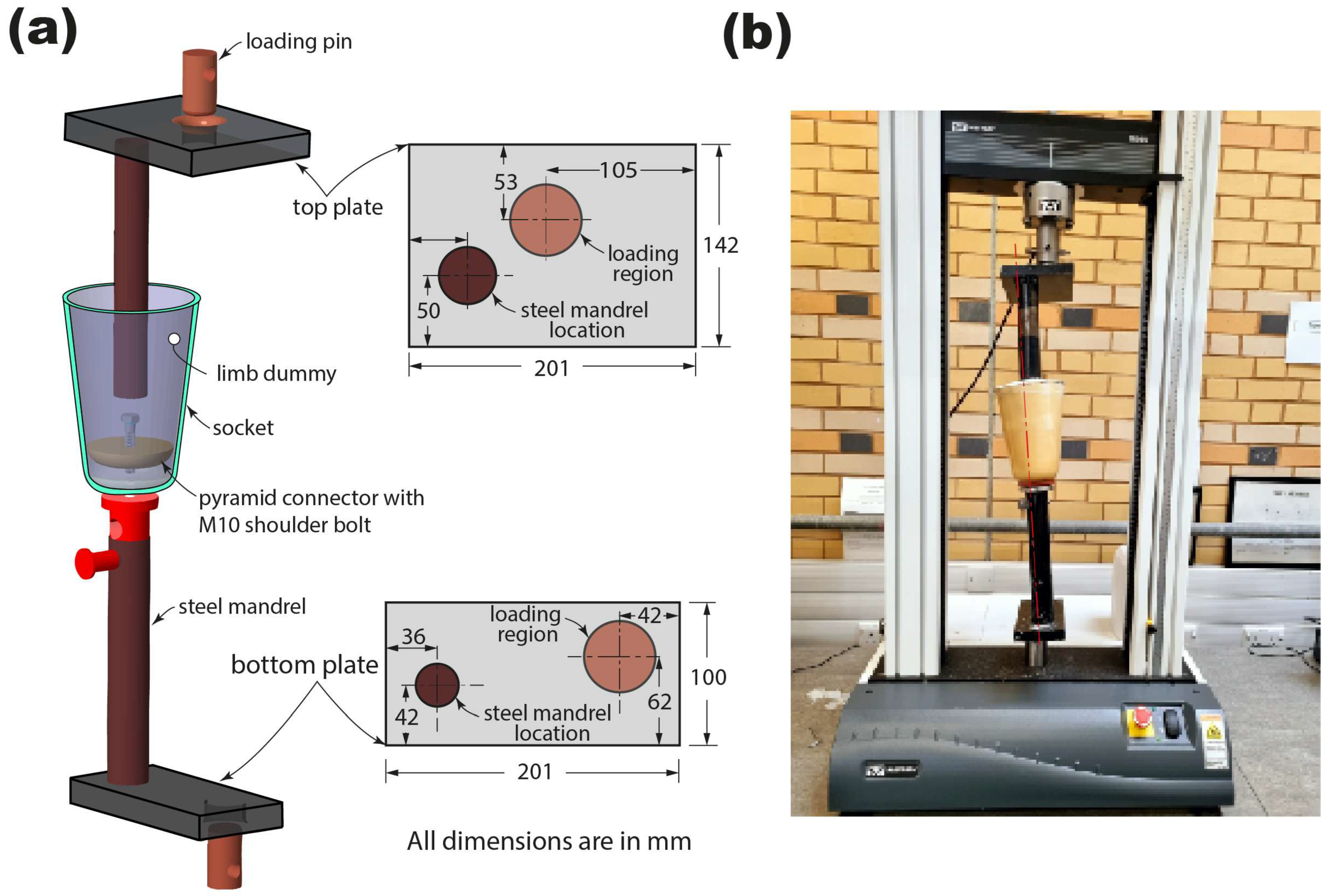 Prosthesis 06 00033 g004