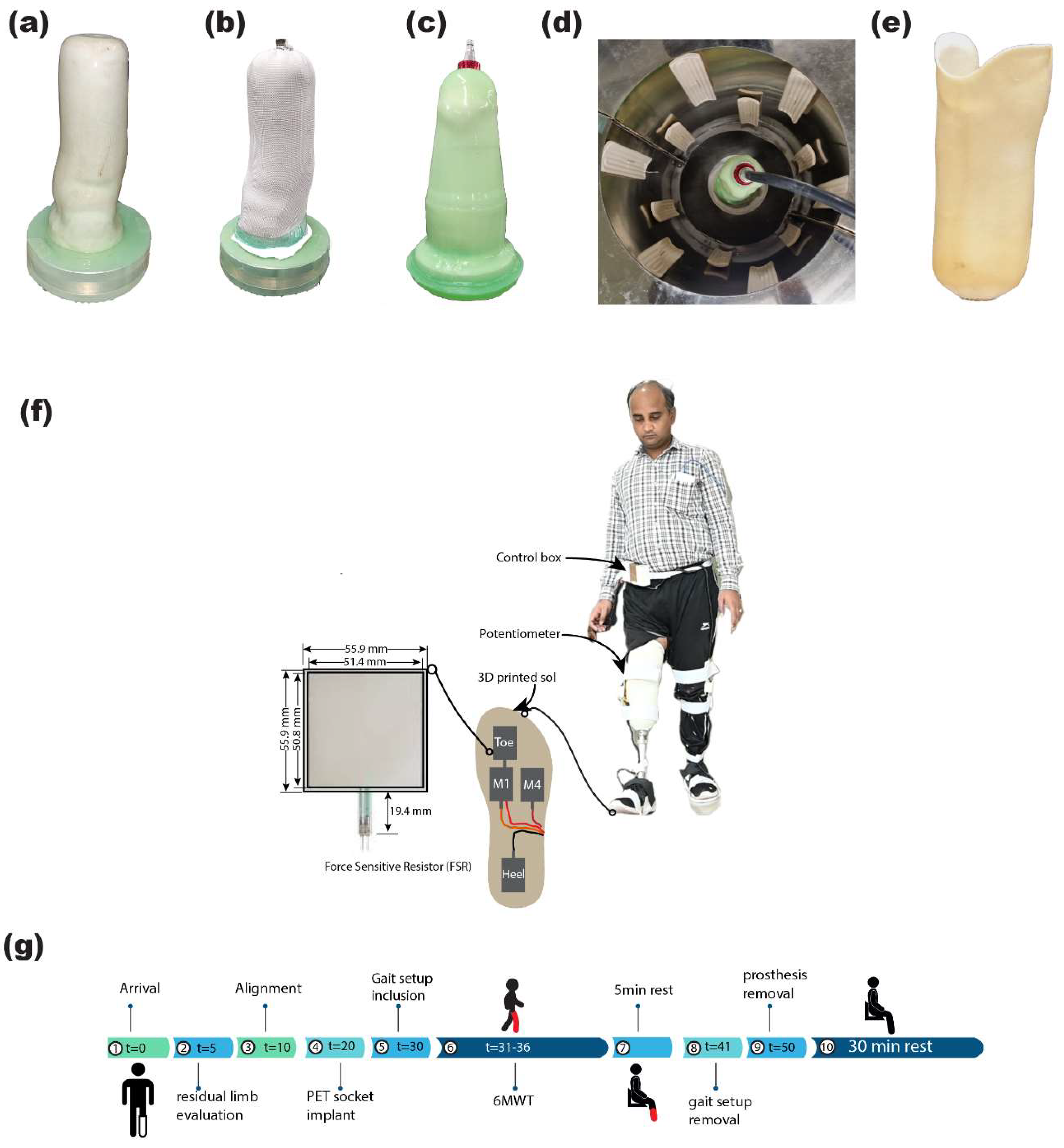 Prosthesis 06 00033 g005