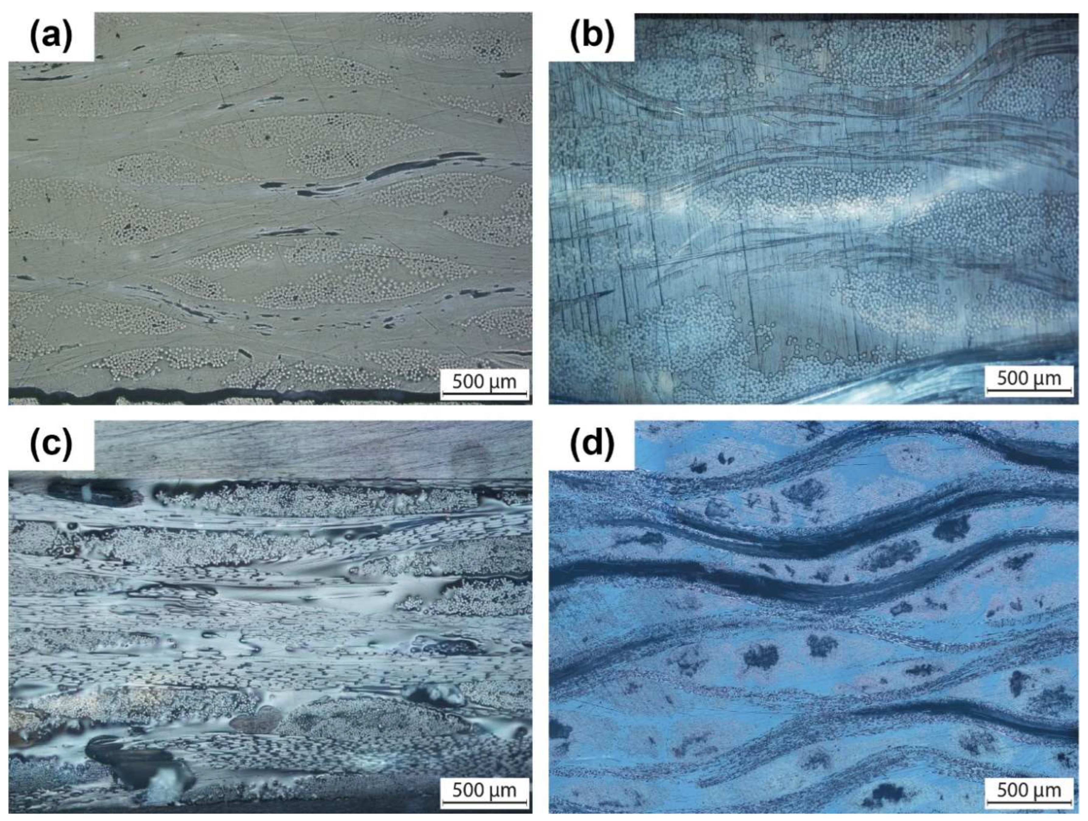 Prosthesis 06 00033 g006