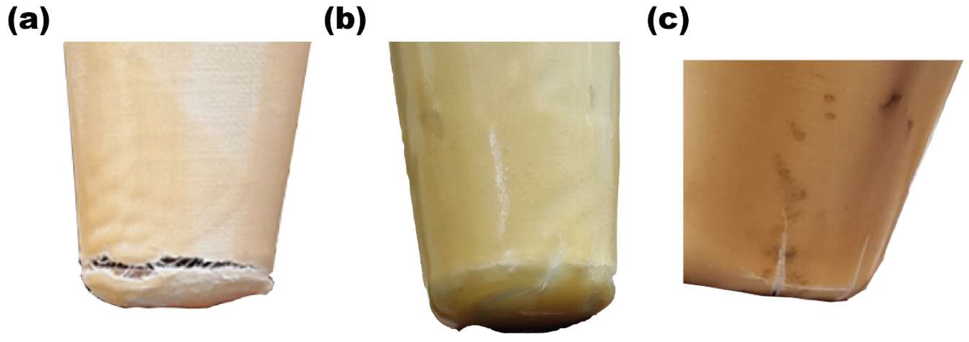 Prosthesis 06 00033 g009