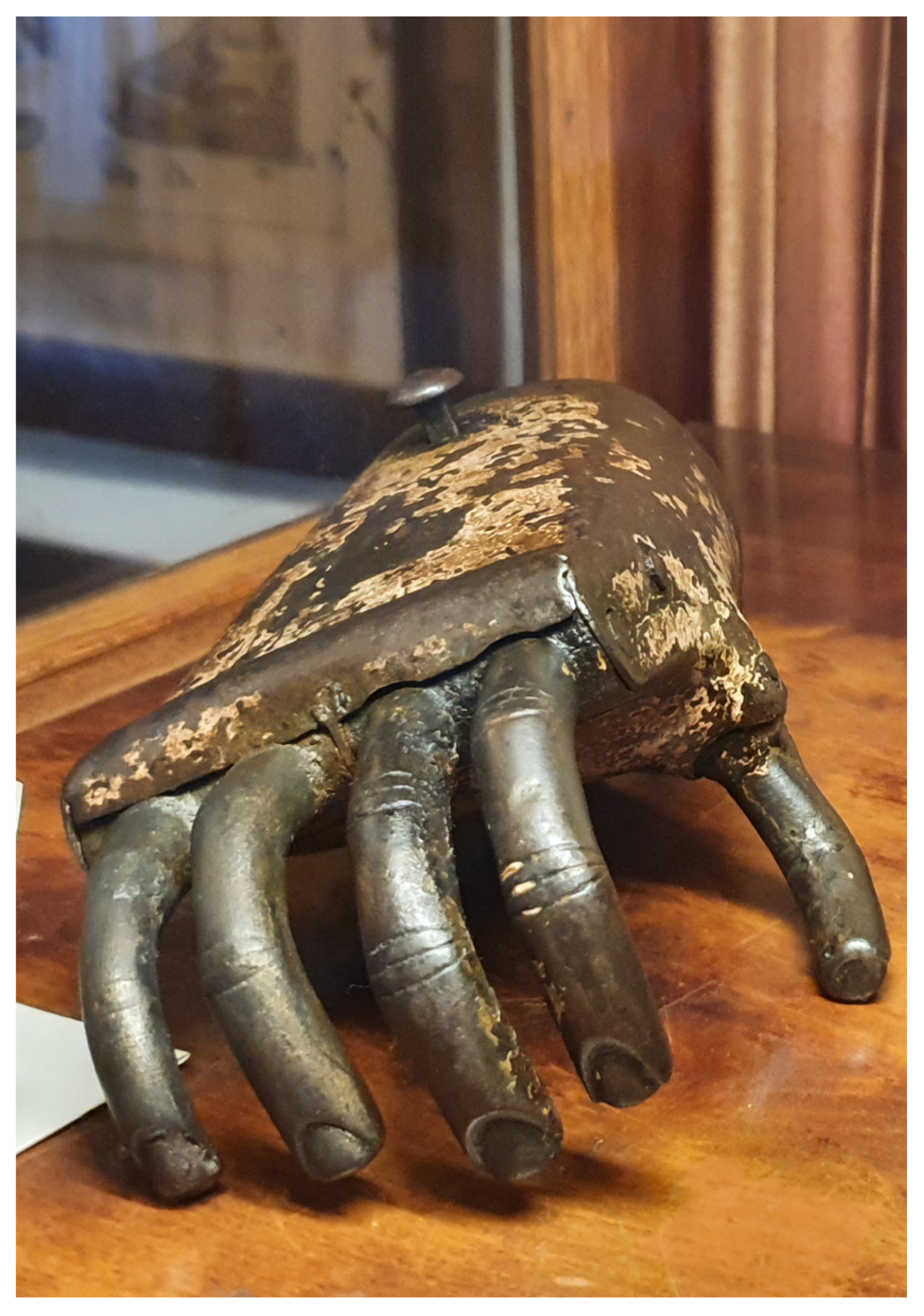 Prosthesis 06 00035 g001