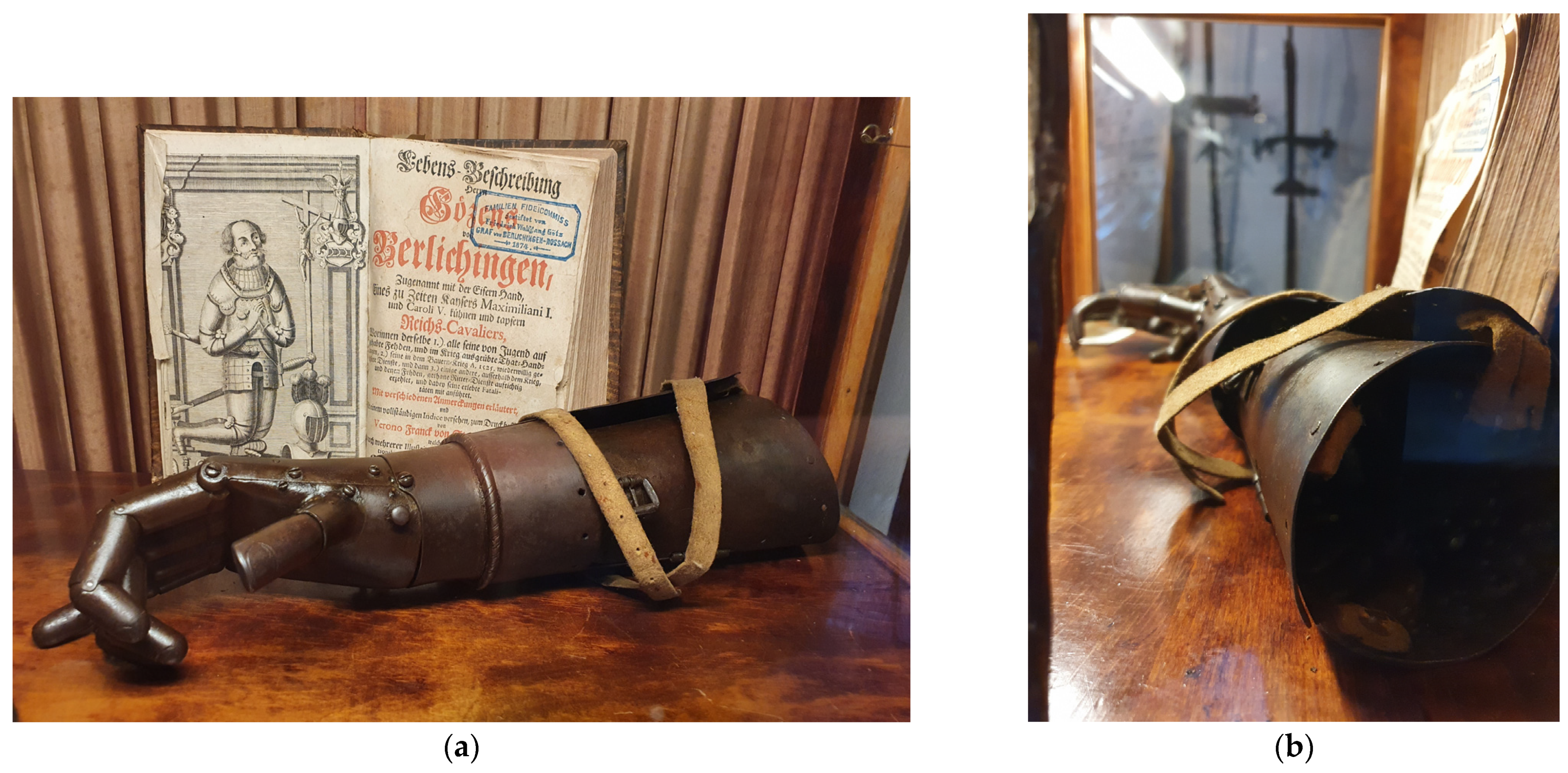 Prosthesis 06 00035 g002