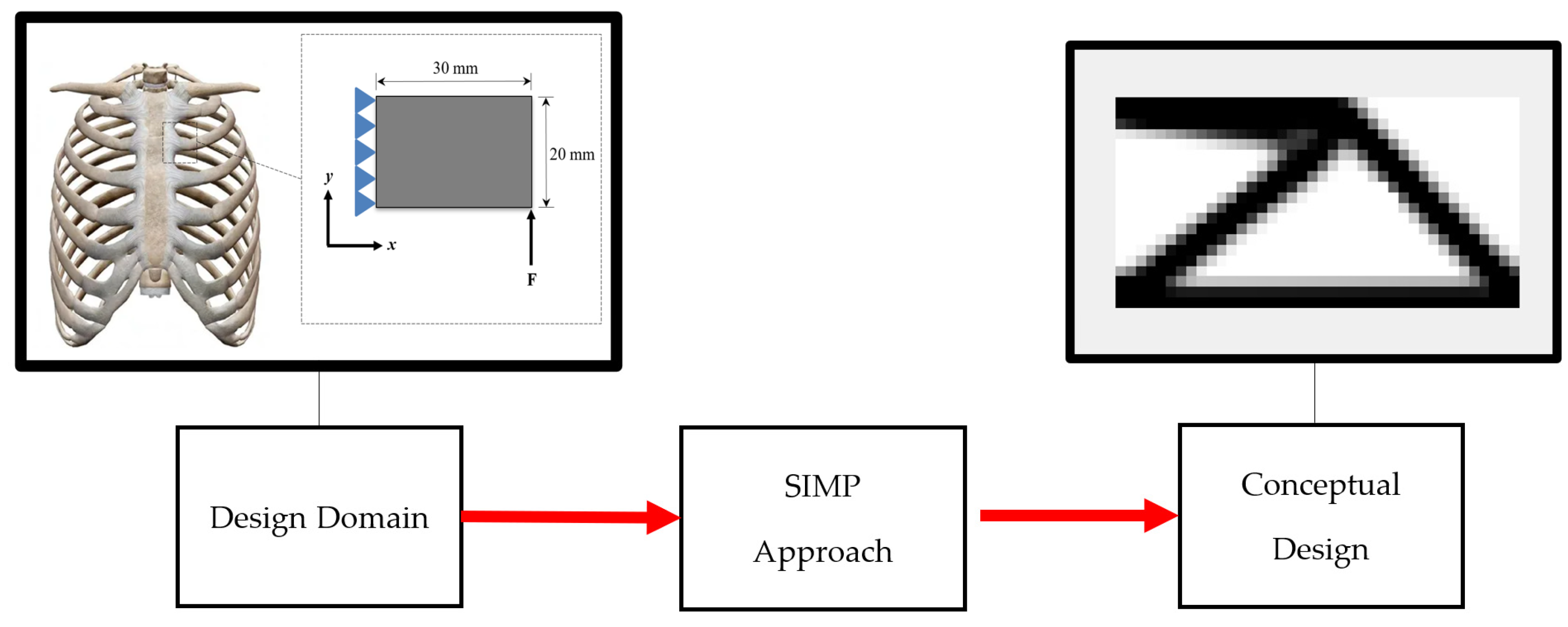 Prosthesis 06 00040 g013