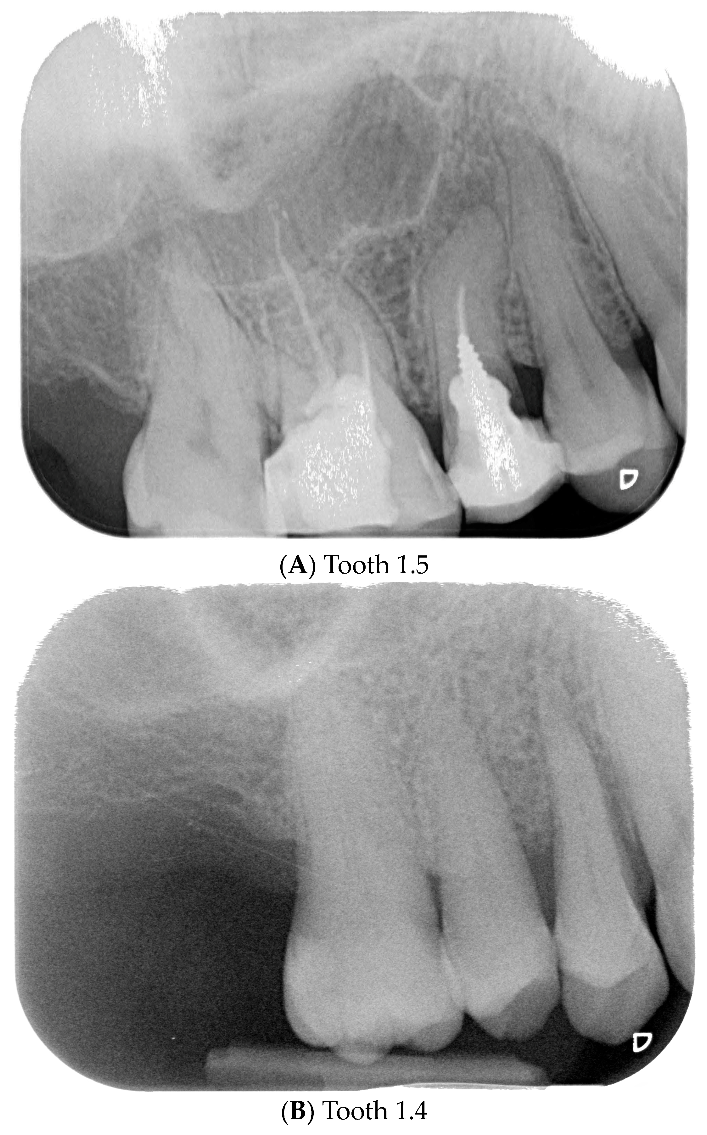 Prosthesis 06 00042 g003