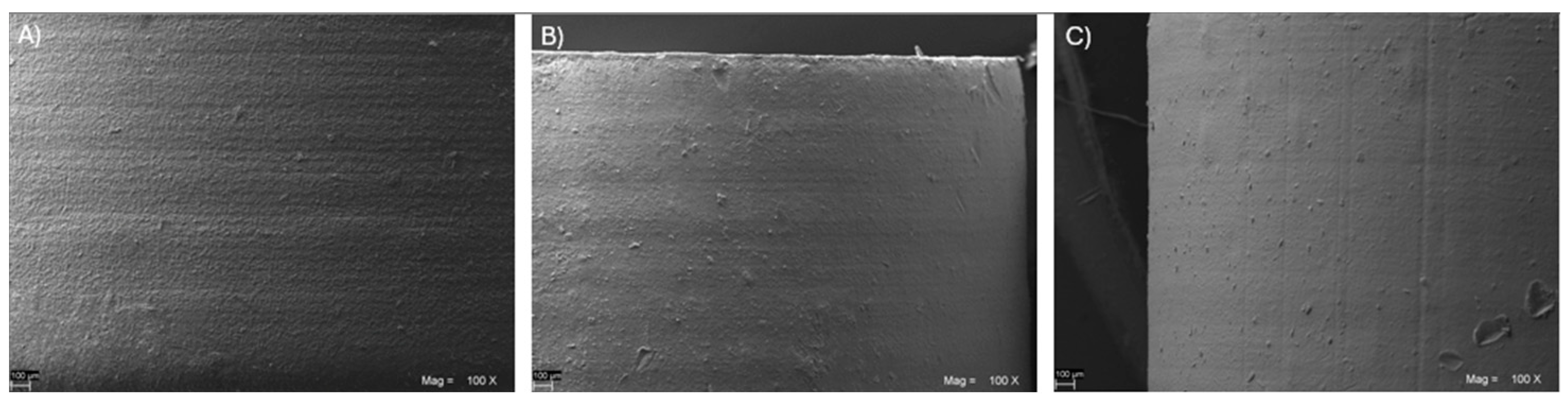 Prosthesis 06 00043 g001