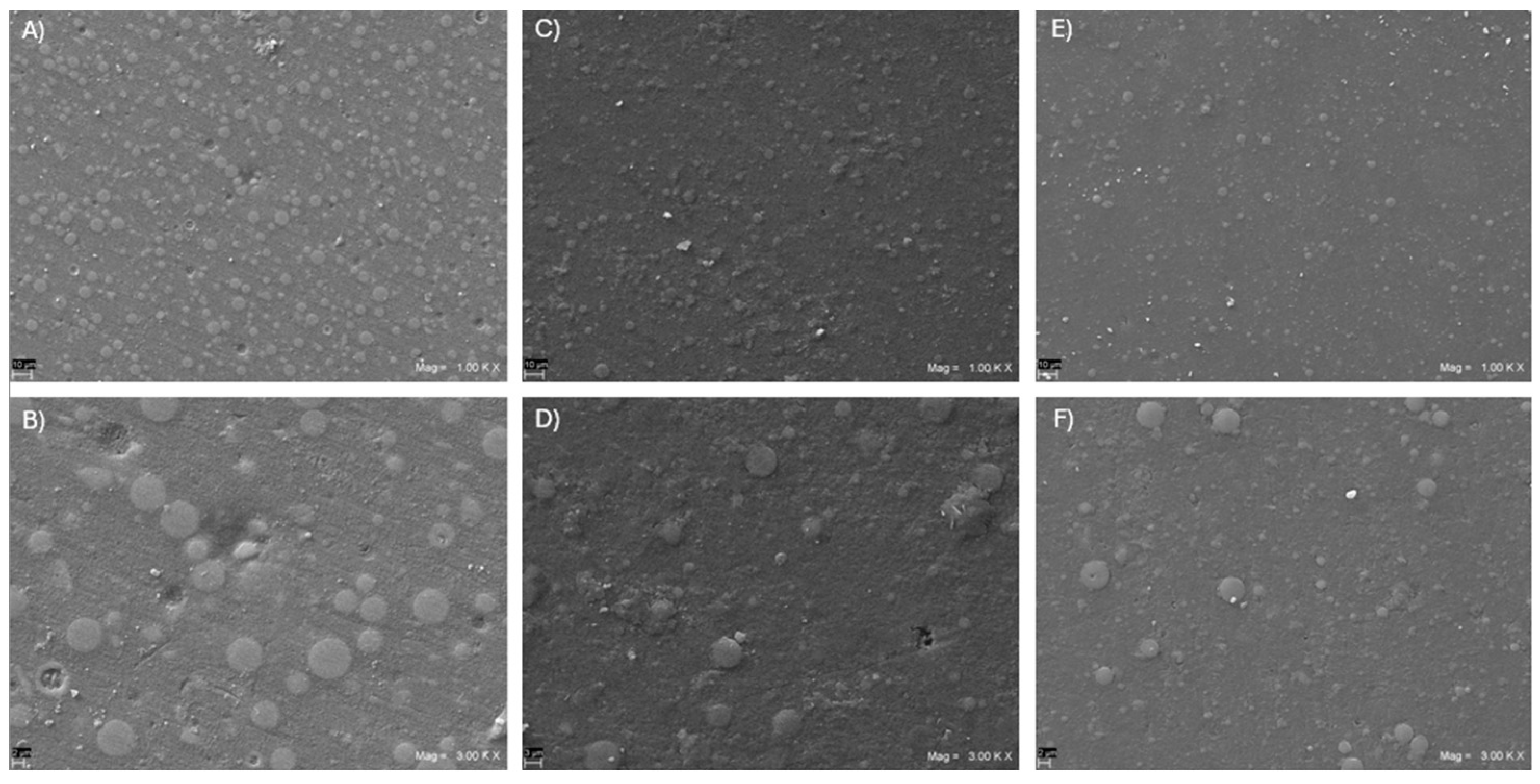 Prosthesis 06 00043 g002