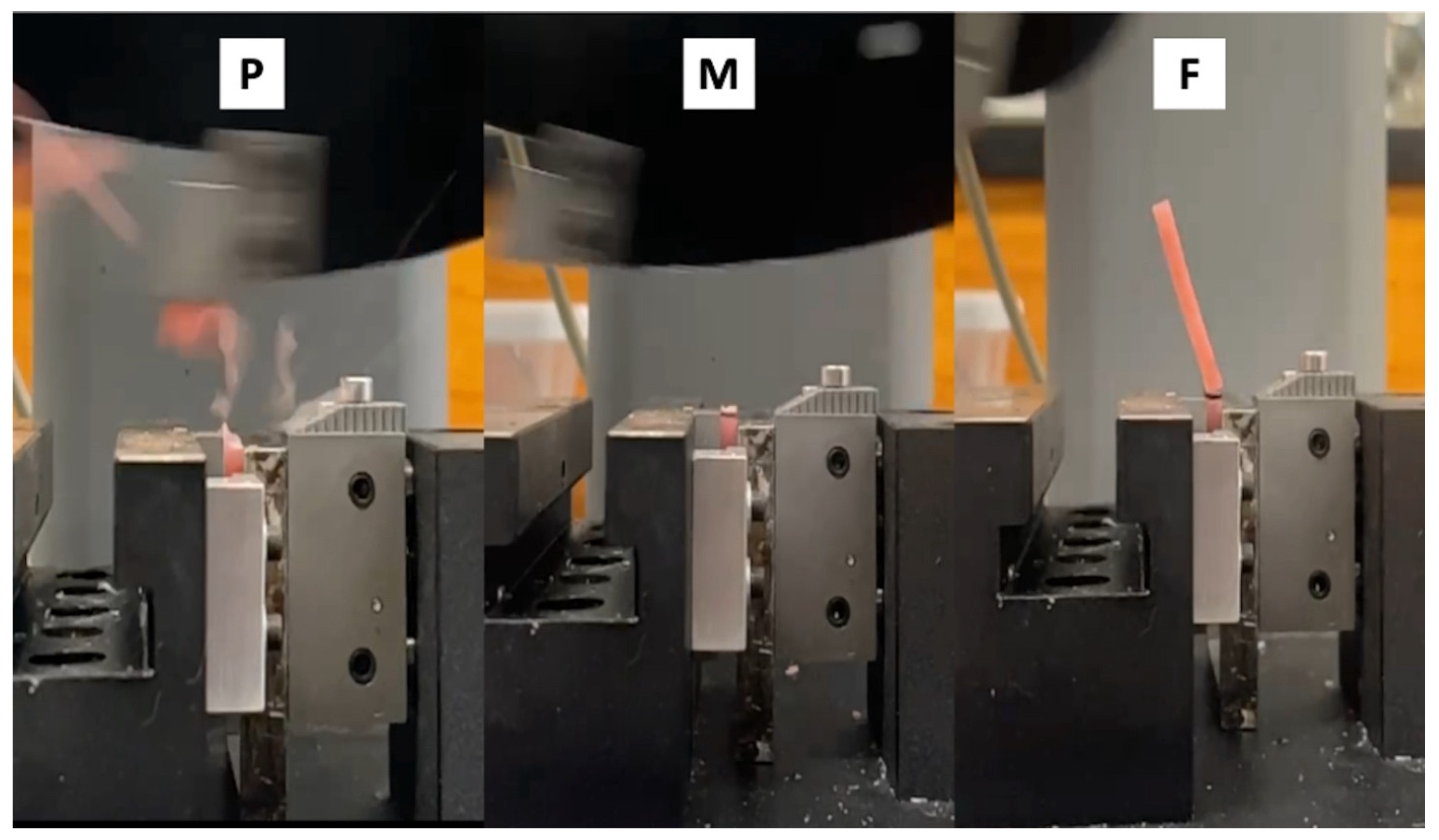 Prosthesis 06 00053 g005