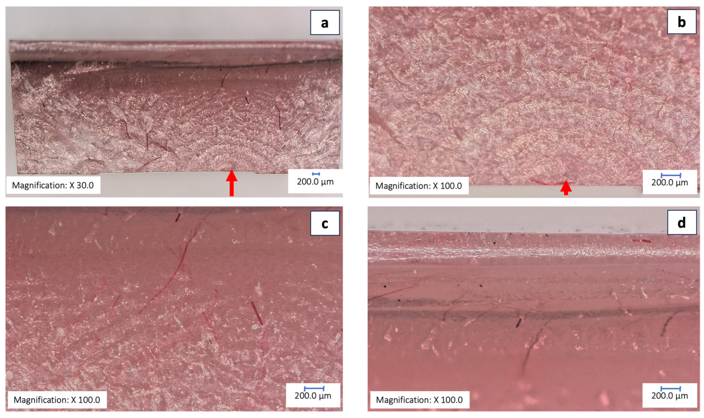 Prosthesis 06 00053 g007