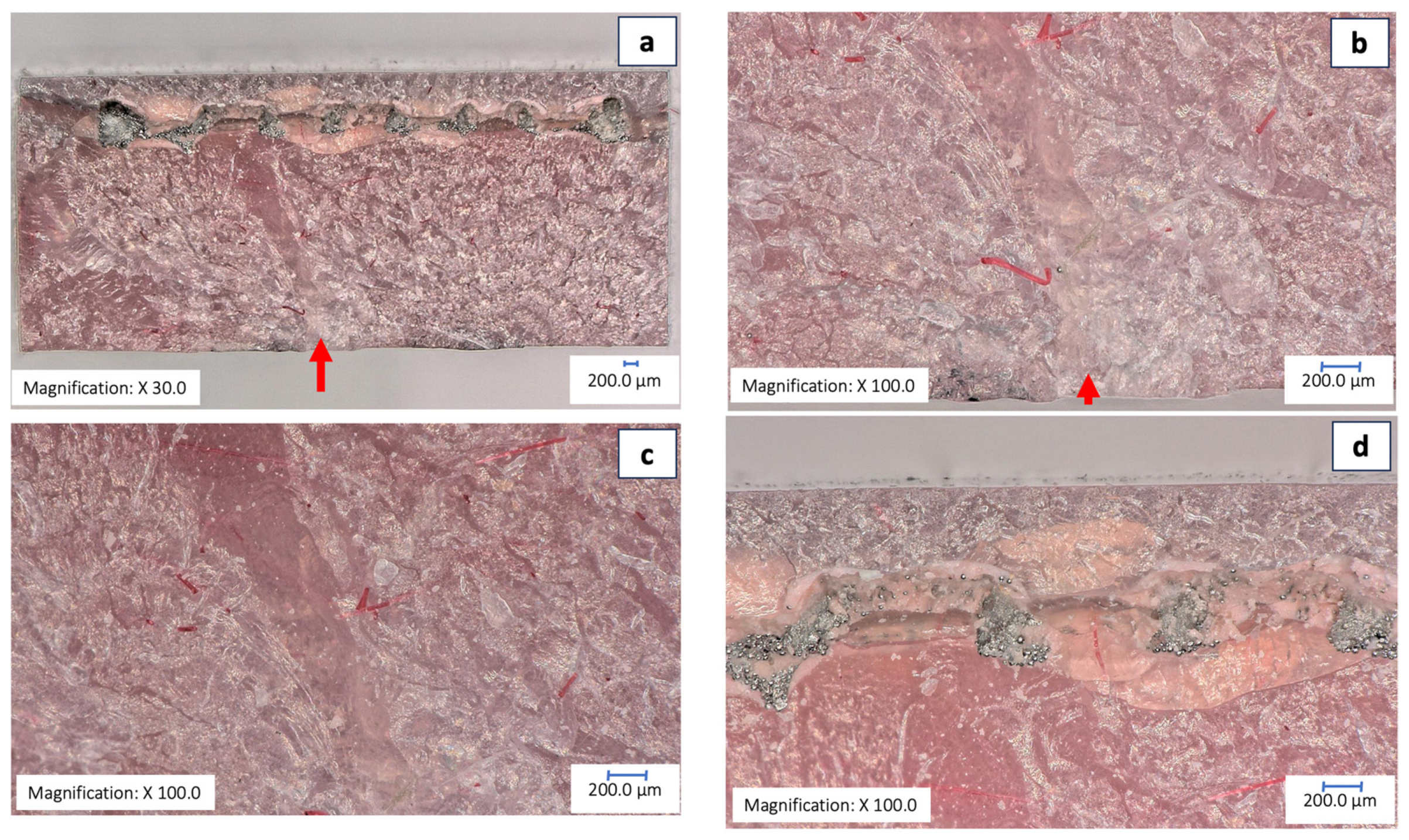 Prosthesis 06 00053 g008