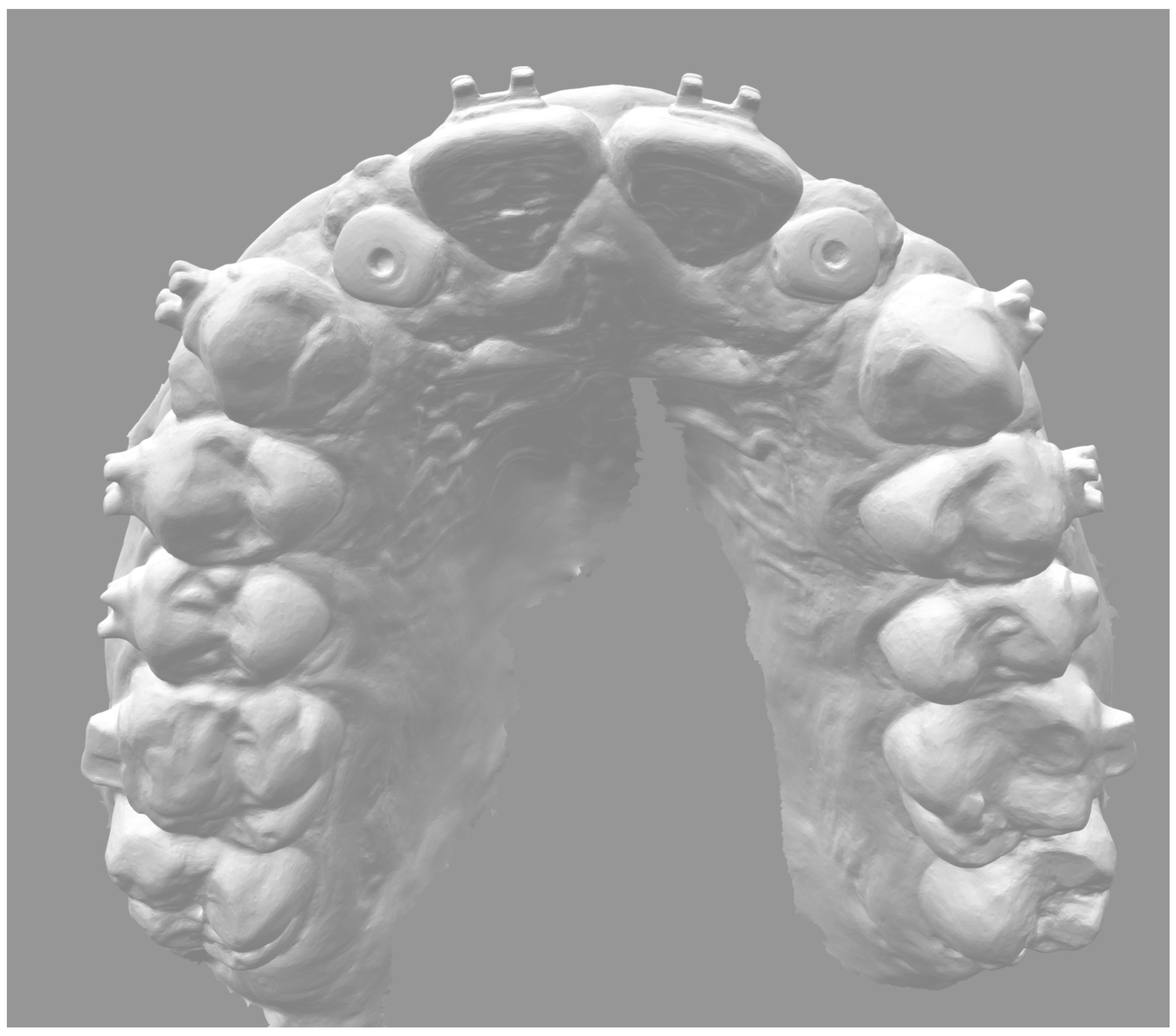 Prosthesis 06 00057 g004 Prosthesis 06 00057 g004