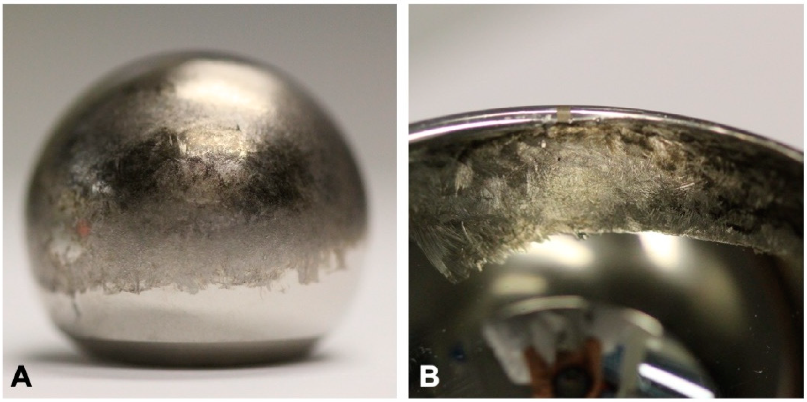 Prosthesis 06 00060 g006