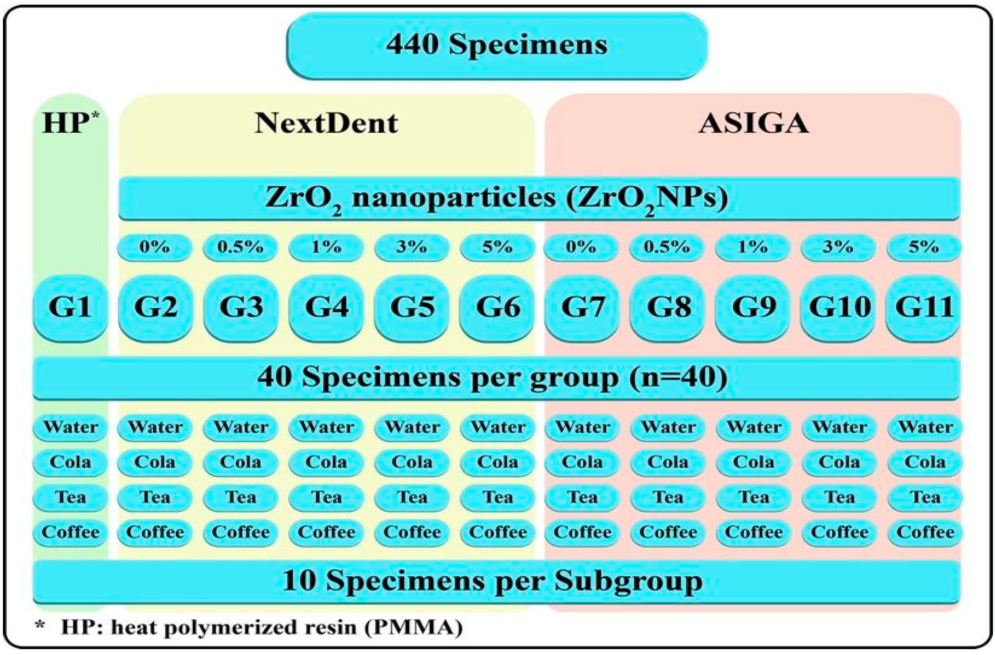 Prosthesis 06 00073 g001