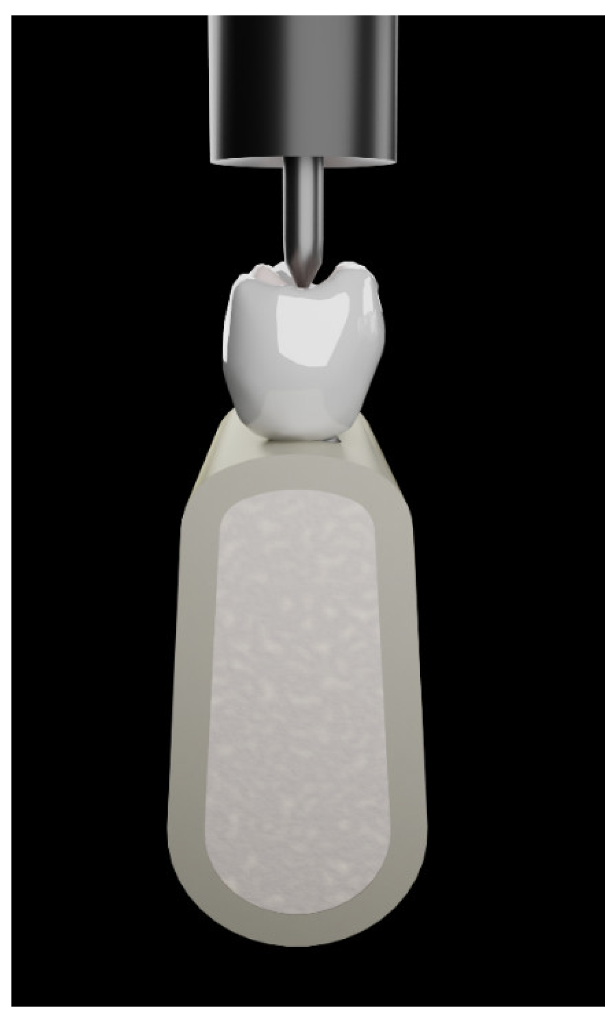 Prosthesis 06 00082 g005