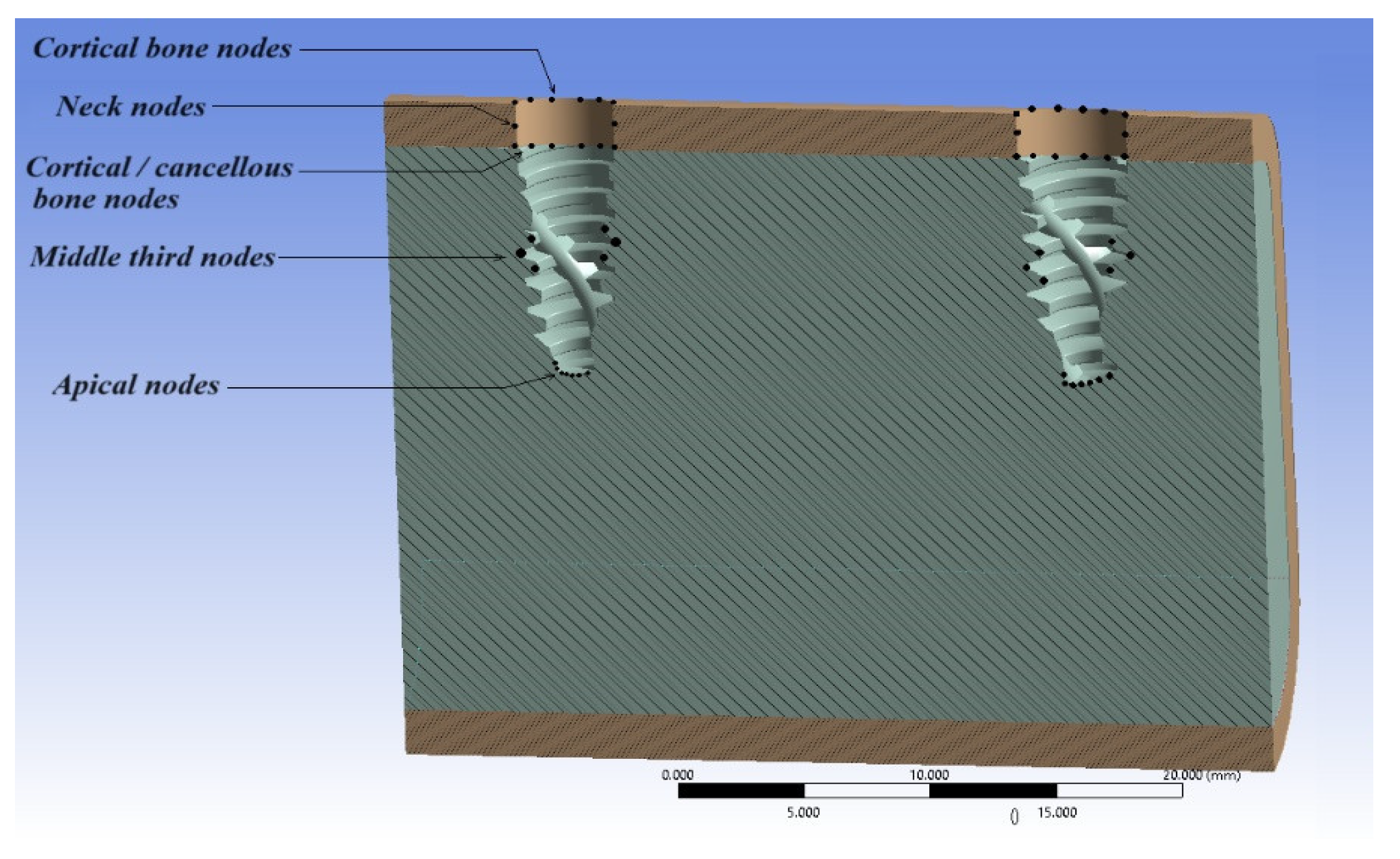 Prosthesis 06 00082 g006