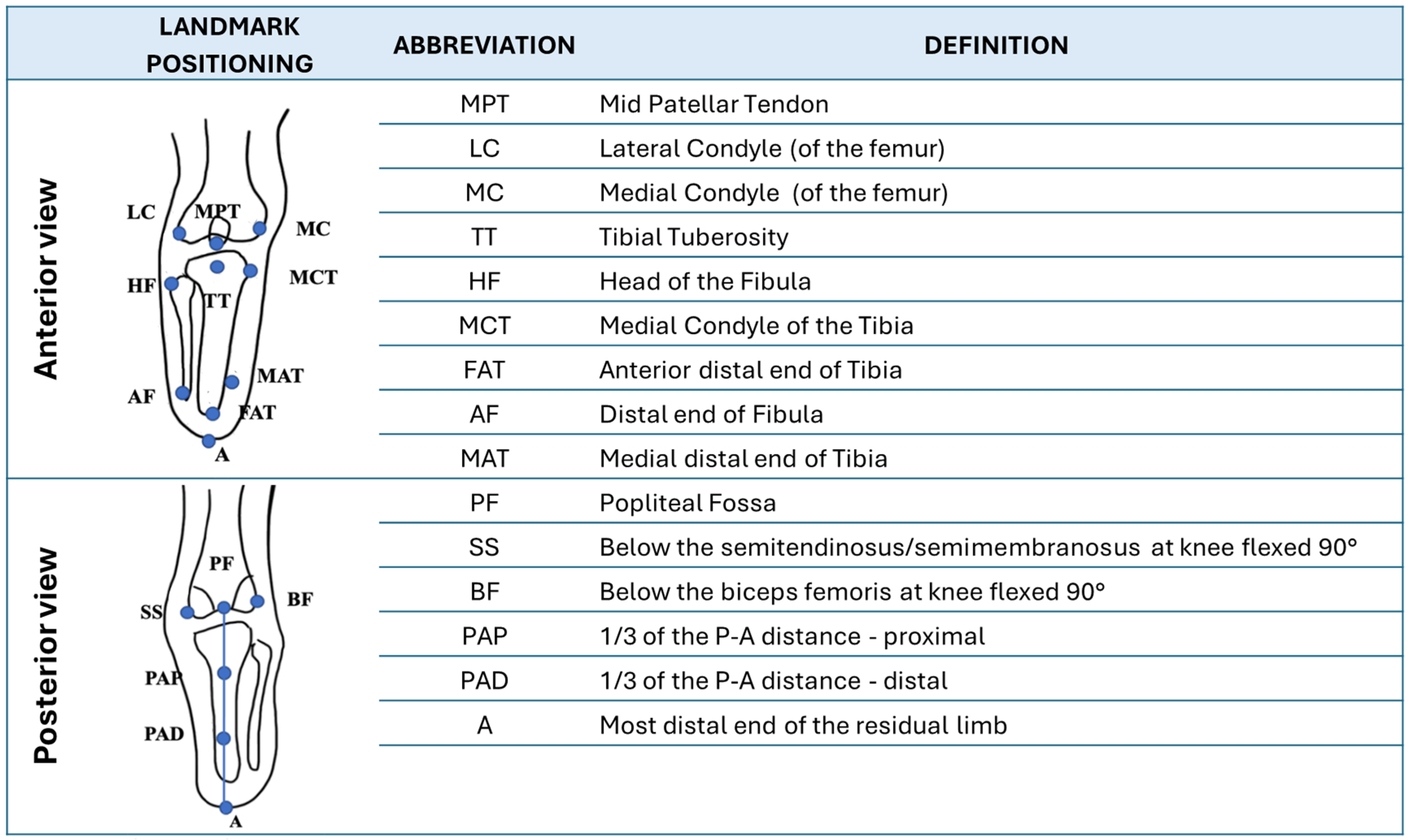 Prosthesis 06 00083 g001