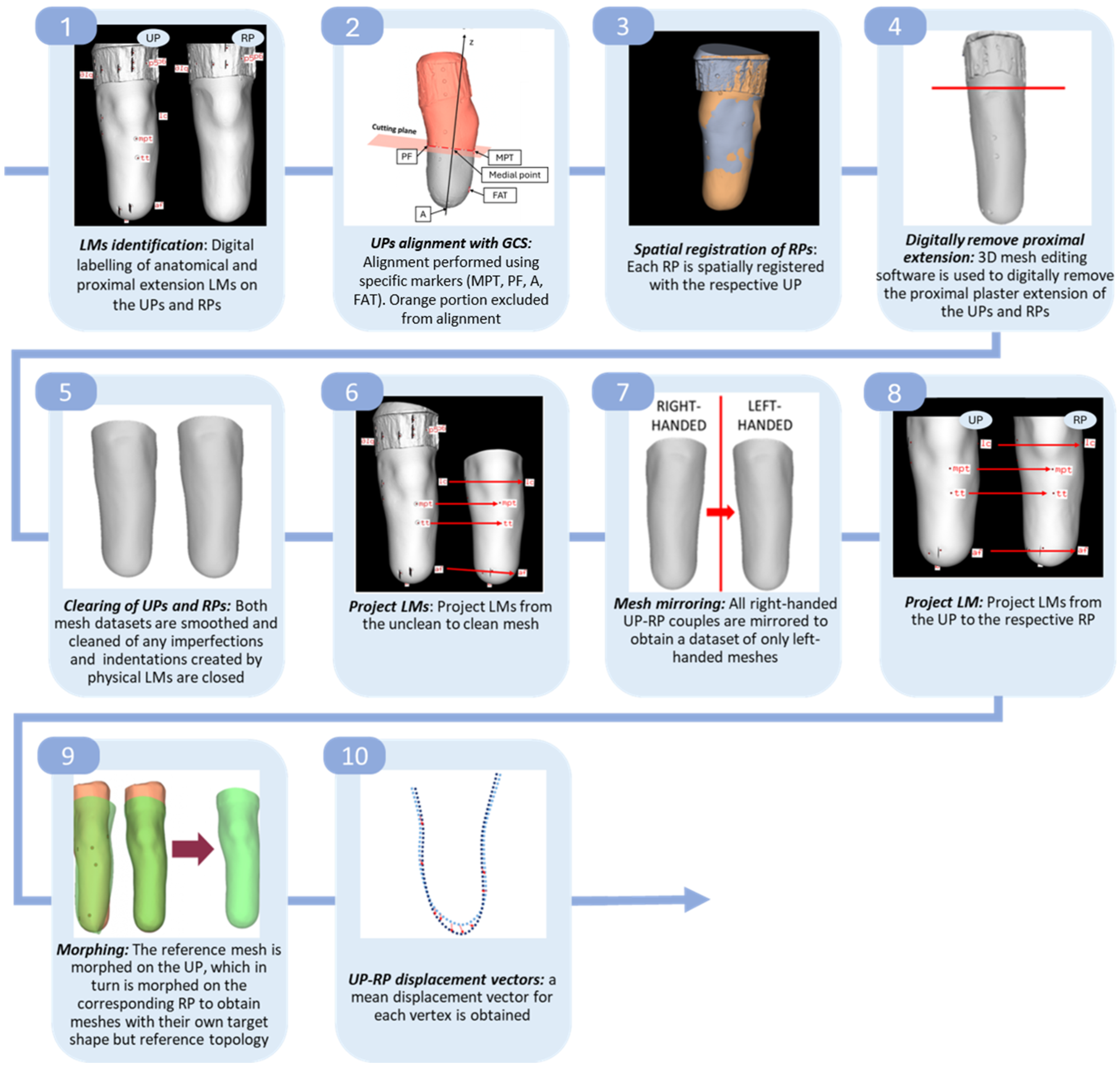 Prosthesis 06 00083 g004