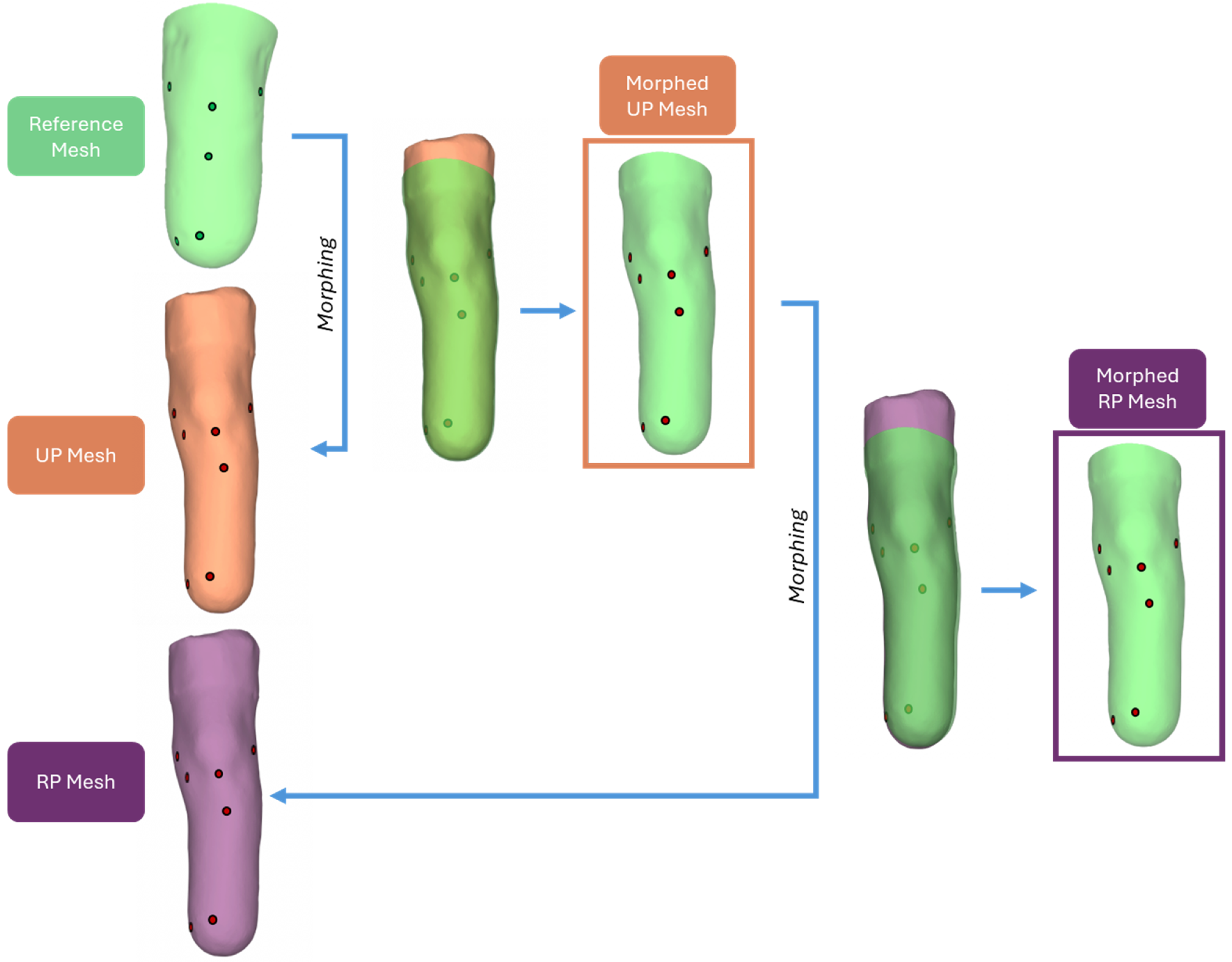 Prosthesis 06 00083 g0a3