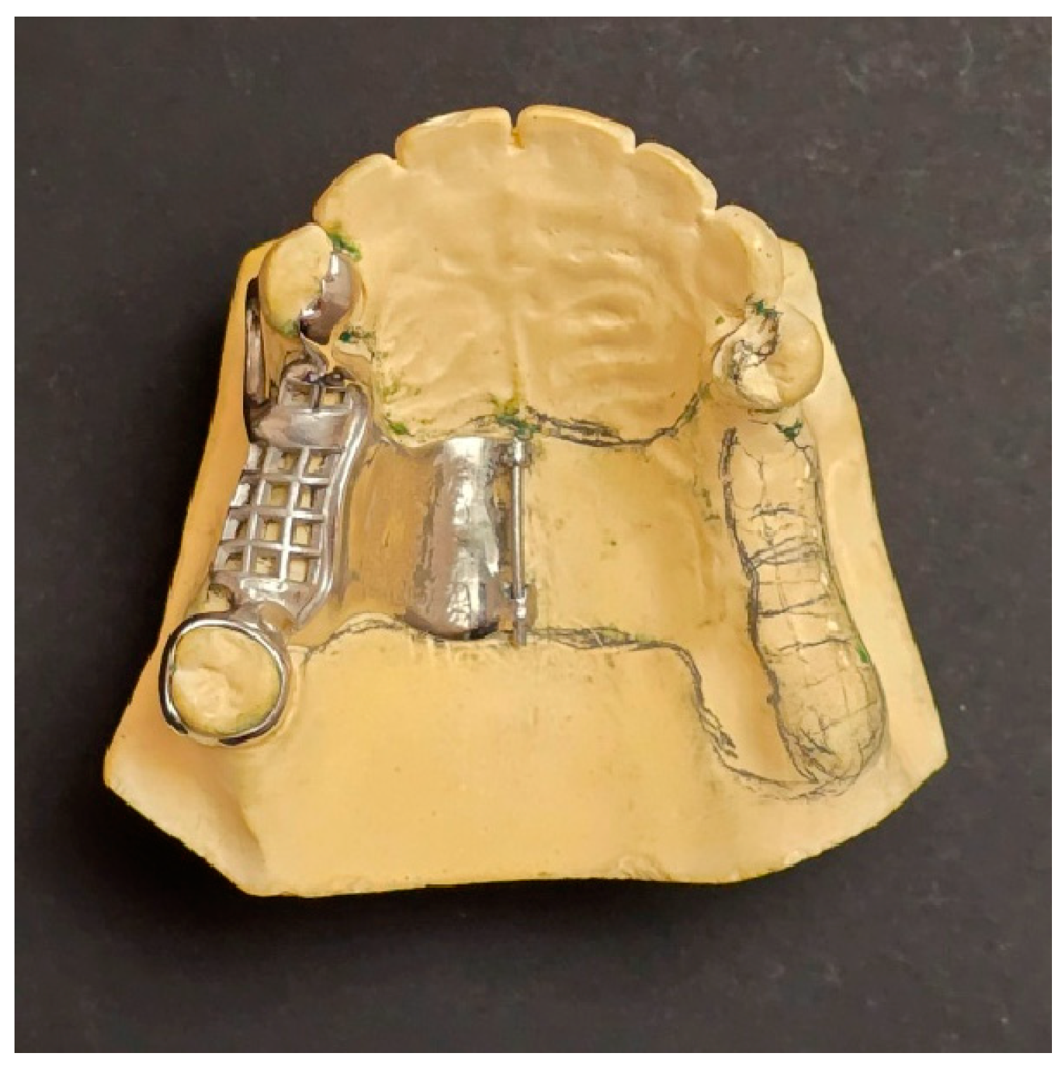 Prosthesis 06 00086 g003