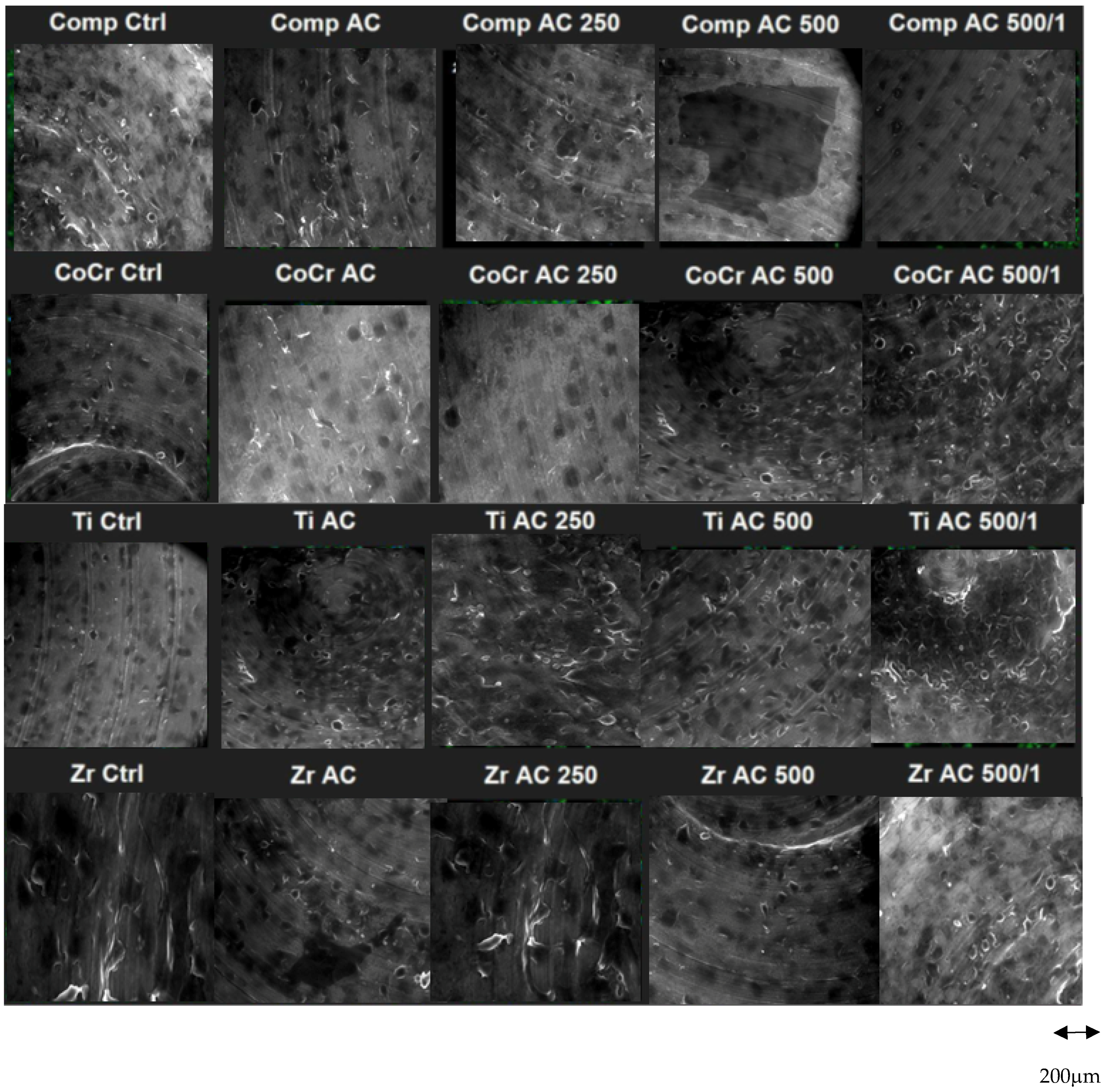 Prosthesis 06 00087 g004