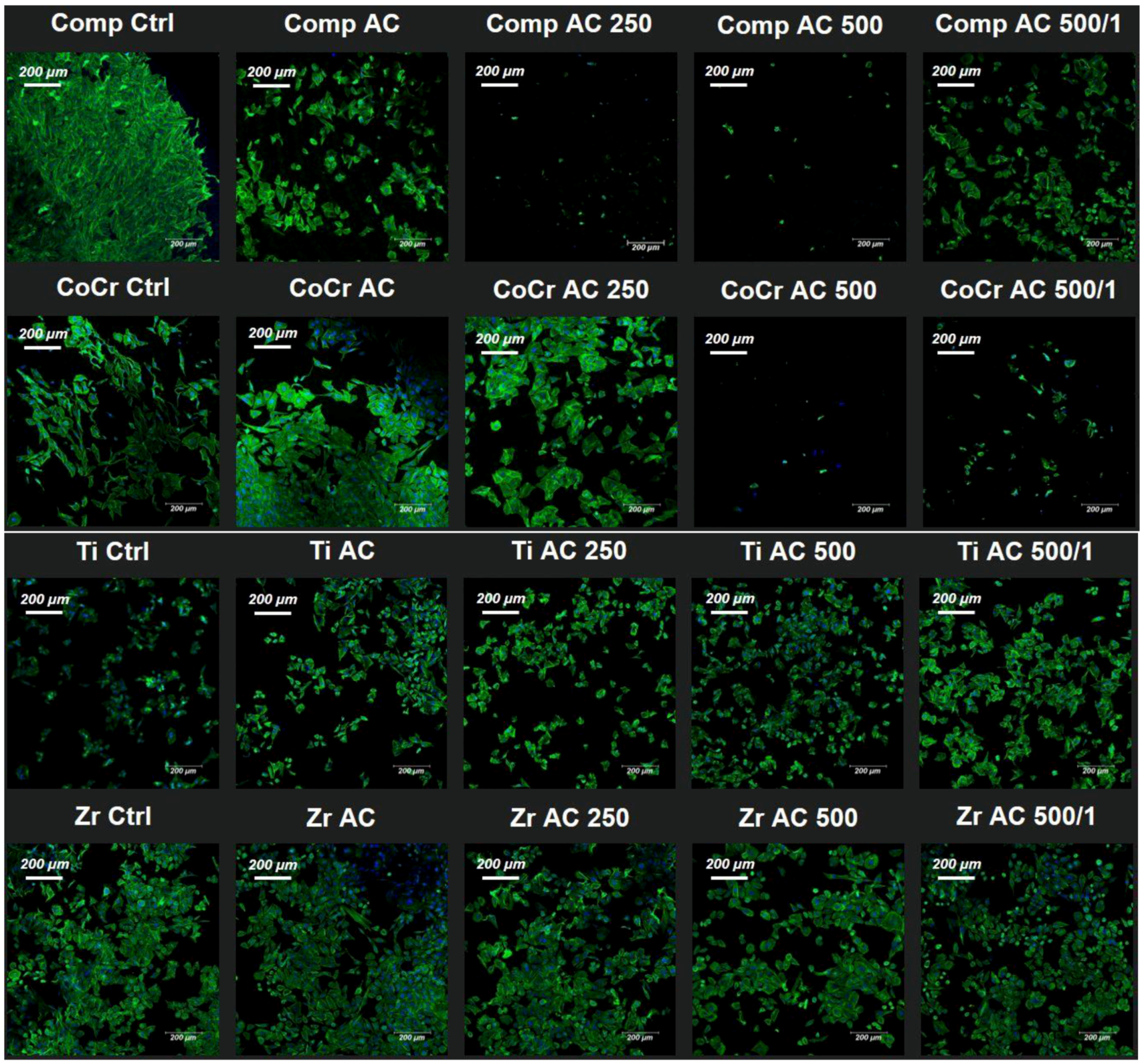 Prosthesis 06 00087 g005