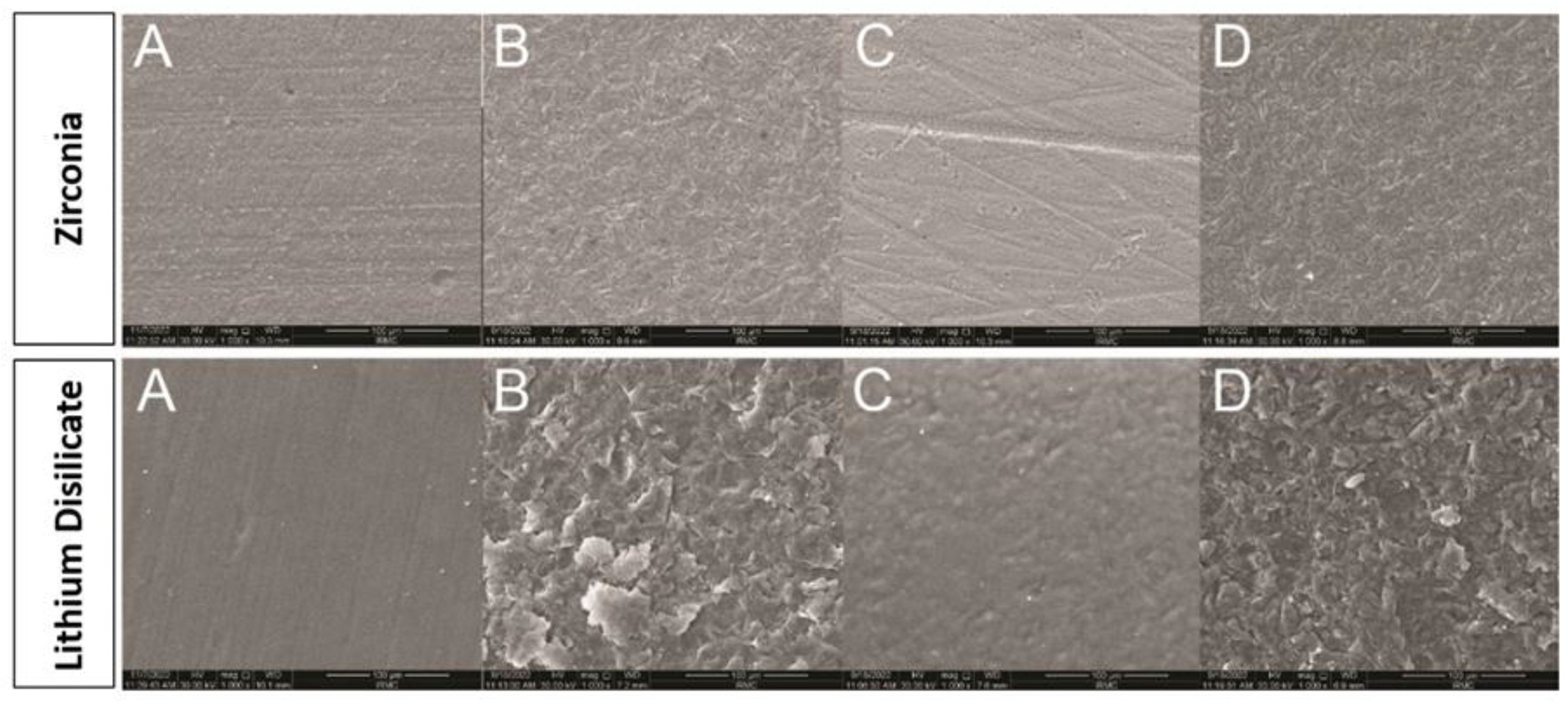 Prosthesis 06 00088 g004