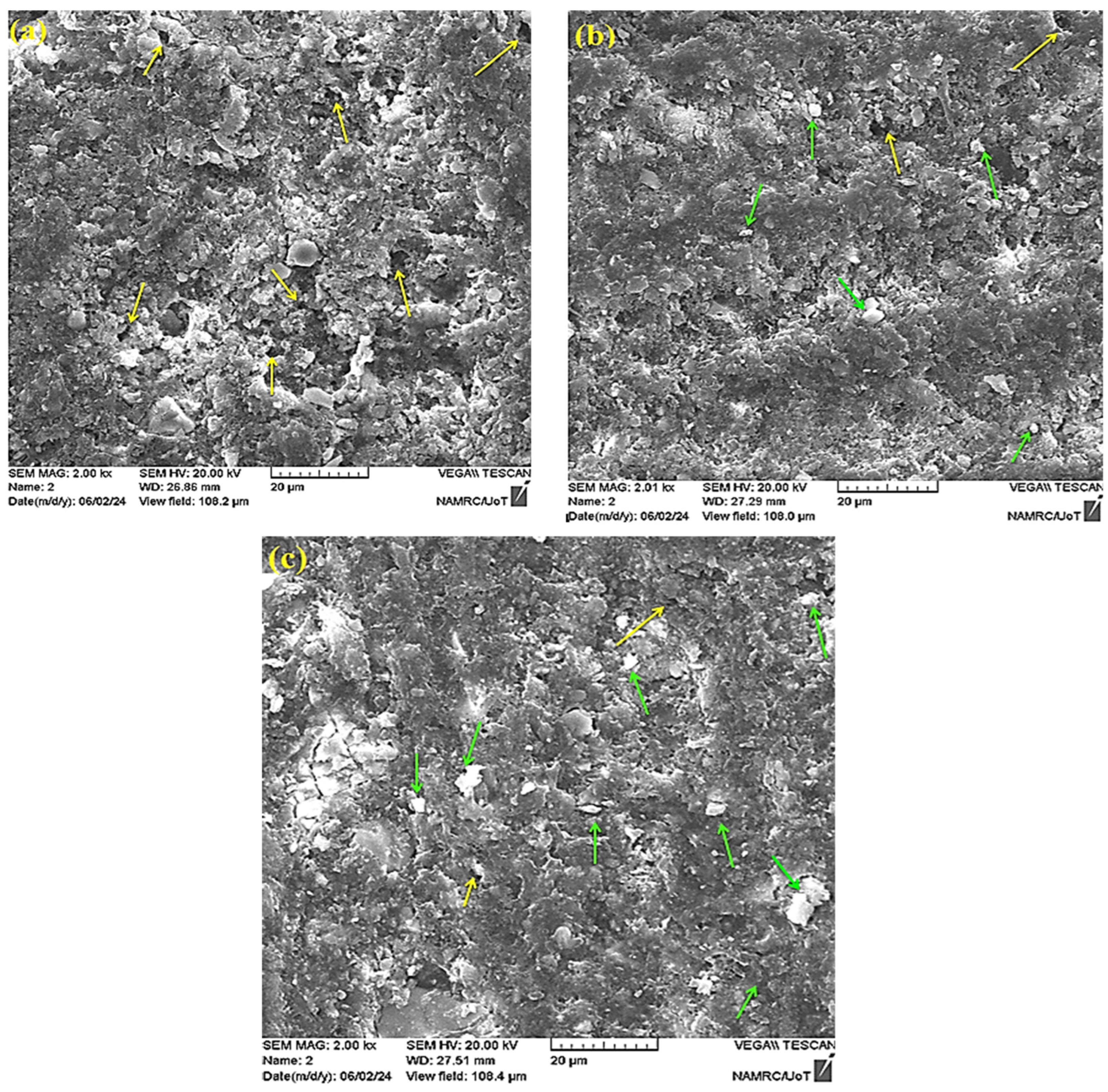 Prosthesis 06 00103 g004