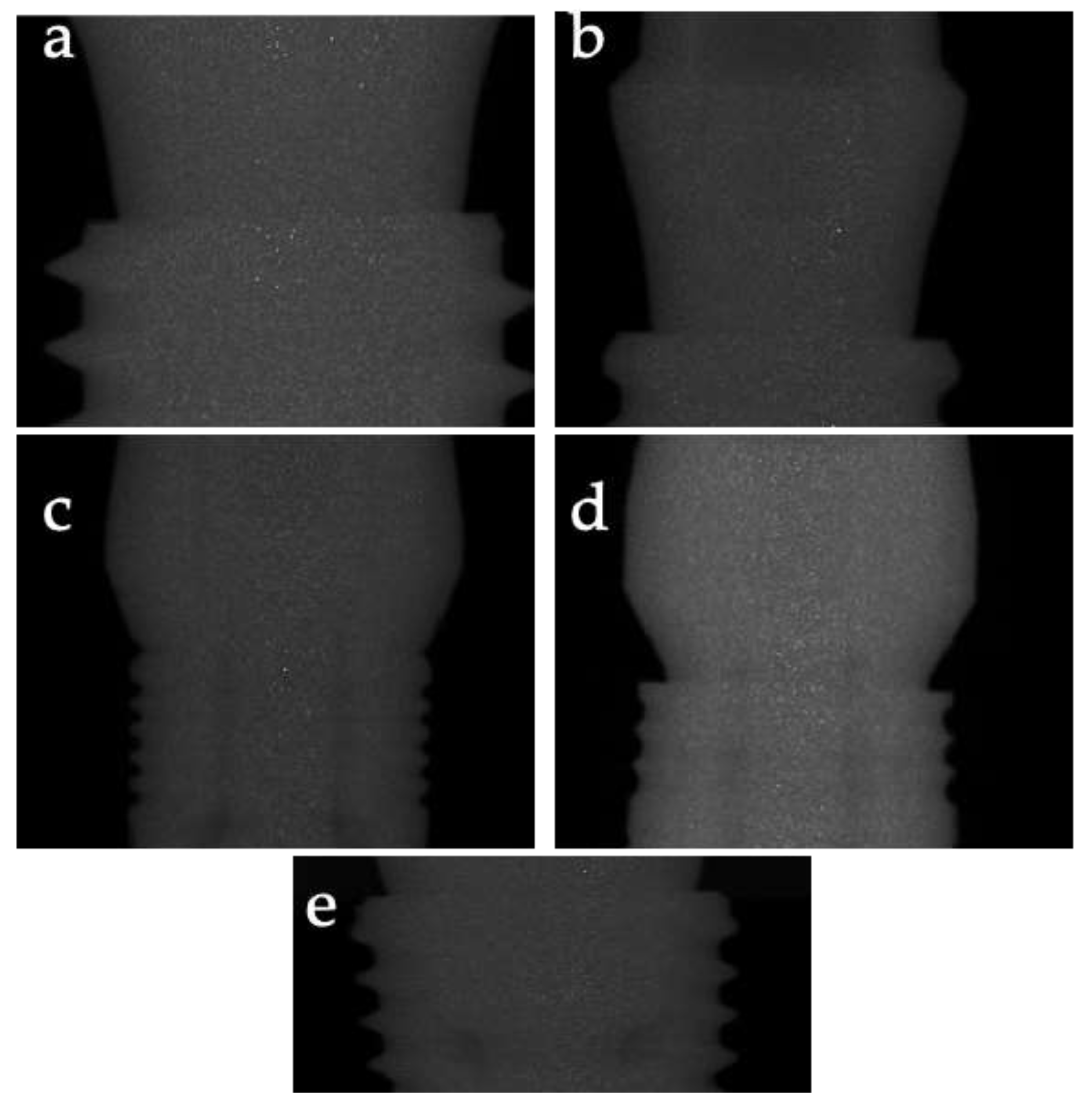 Prosthesis 06 00104 g001