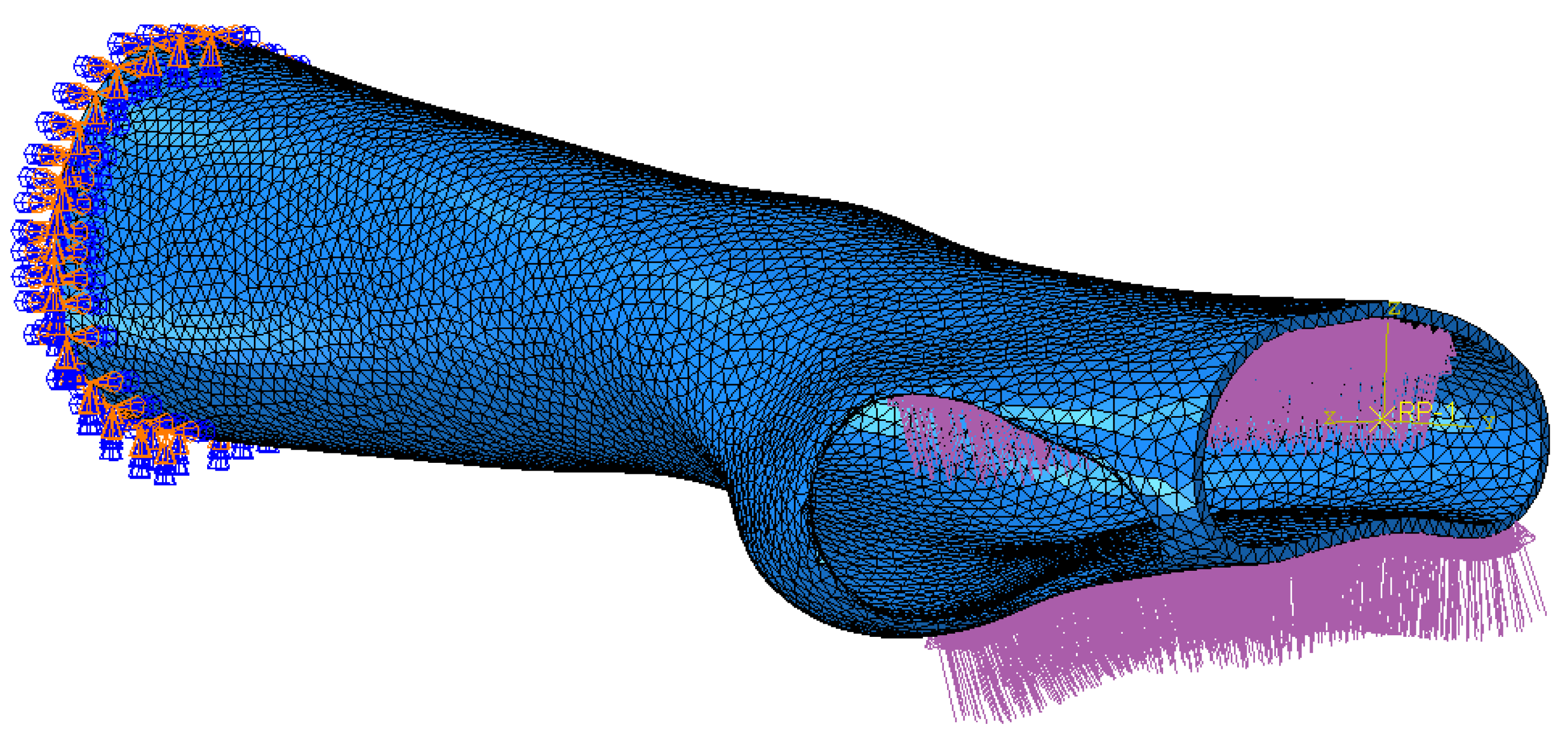 Prosthesis 06 00109 g003
