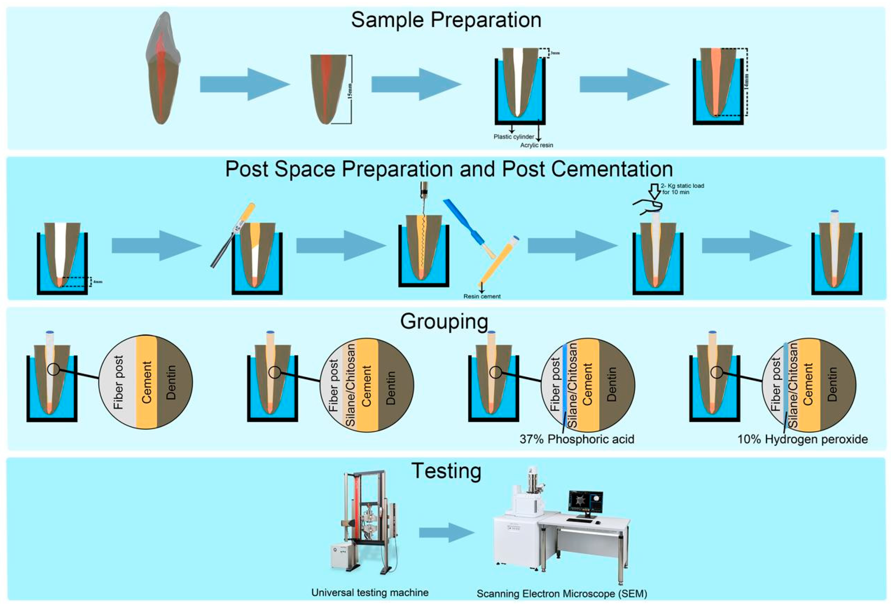 Prosthesis 06 00112 g004