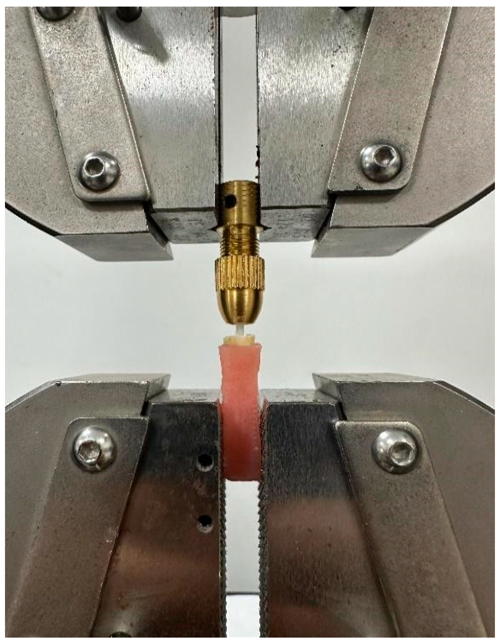 Prosthesis 06 00112 g005