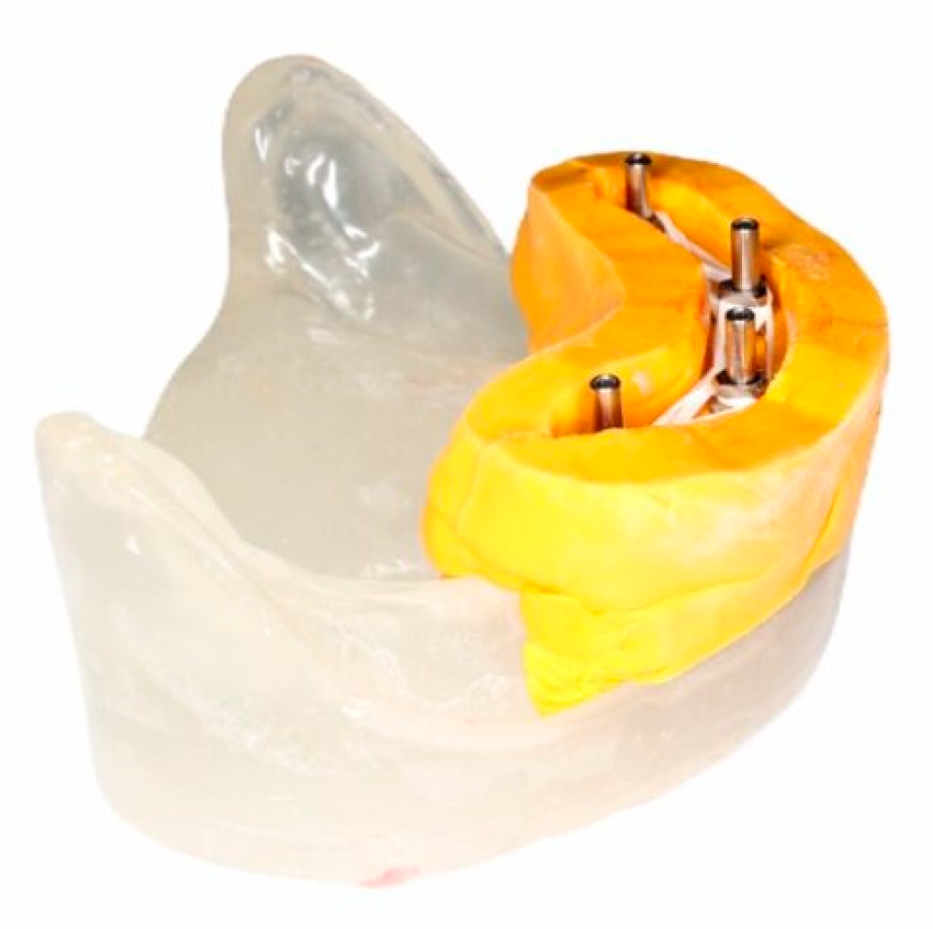 Prosthesis 06 00113 g003