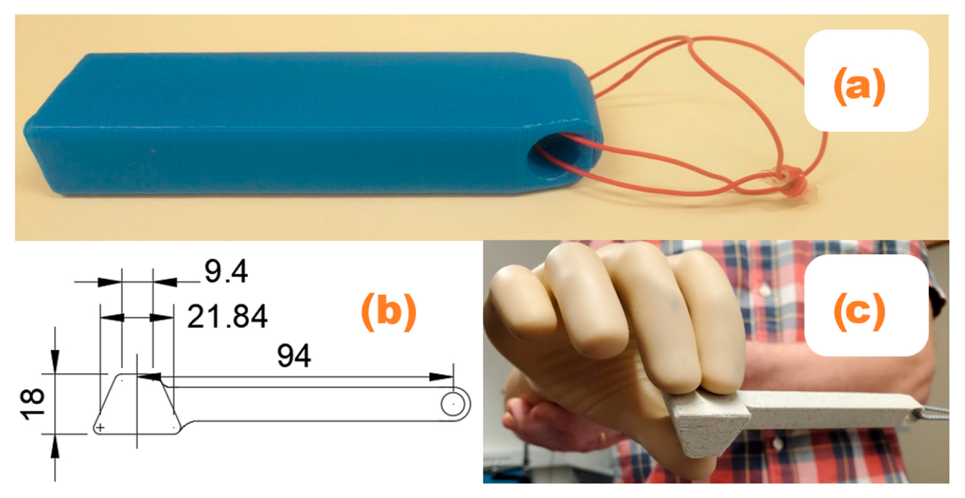 Prosthesis 07 00003 g002