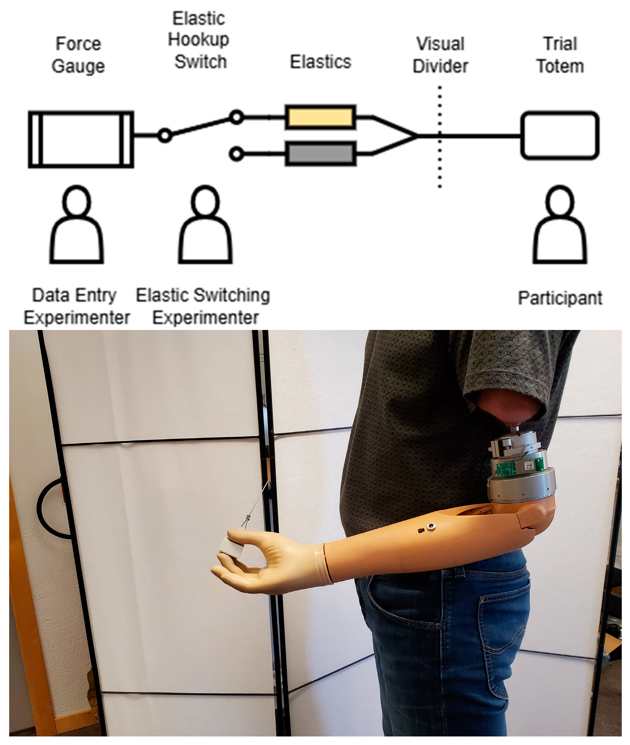 Prosthesis 07 00003 g004