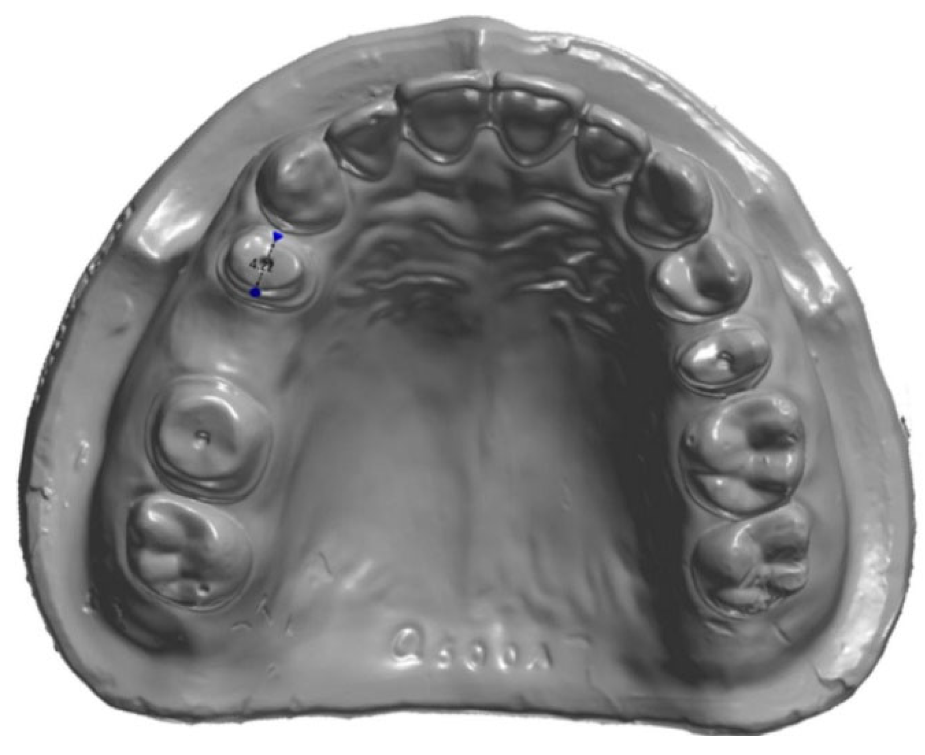 Prosthesis 07 00007 g003a