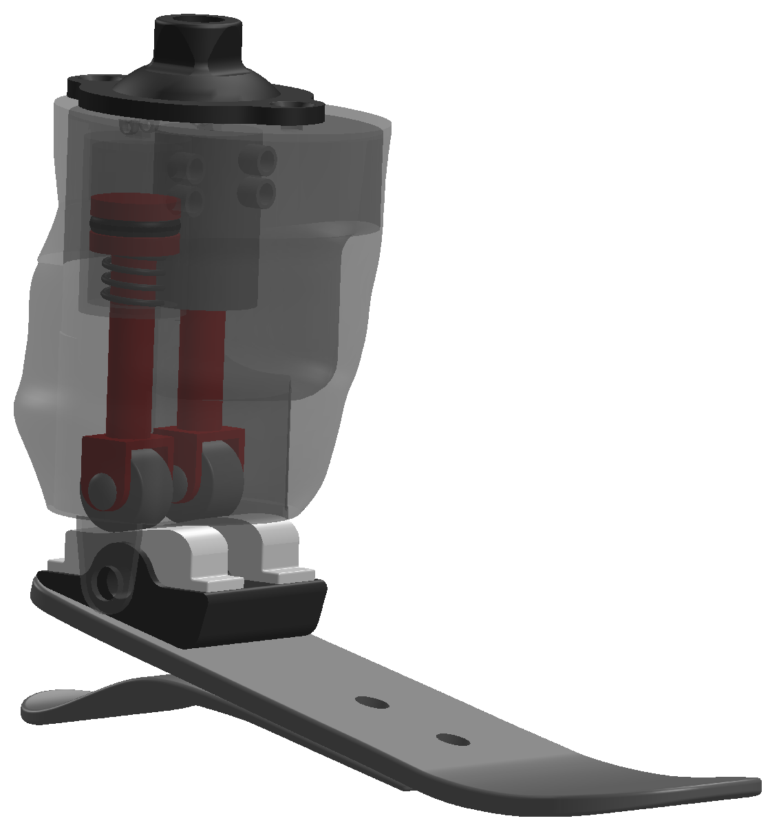 Prosthesis 07 00014 g001