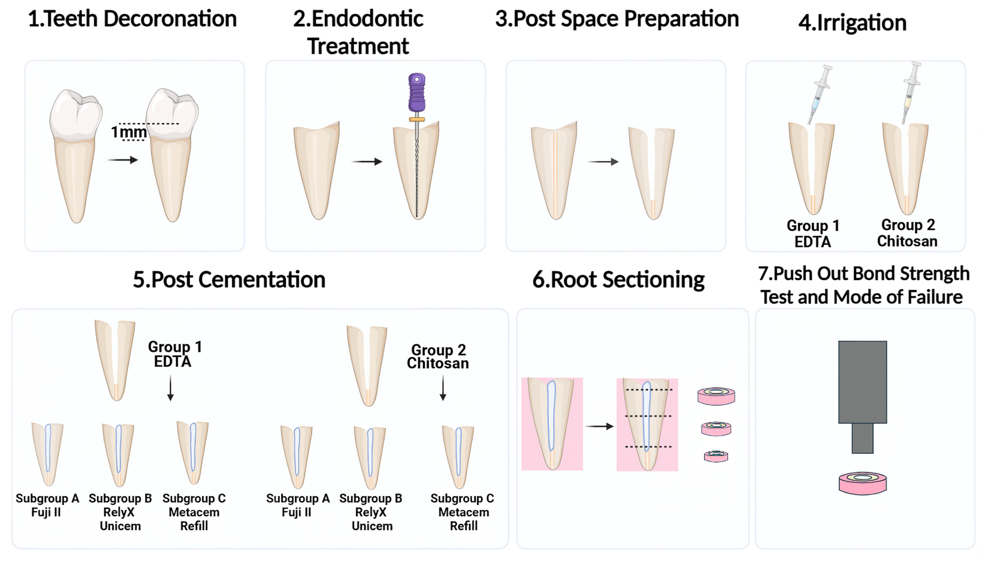 Prosthesis 07 00018 g001