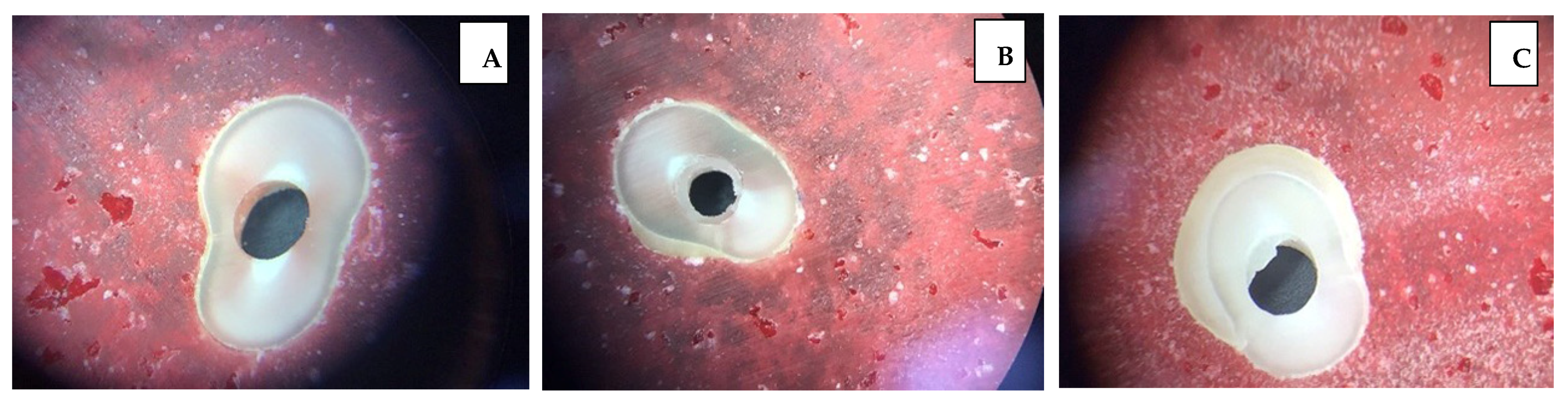 Prosthesis 07 00018 g002