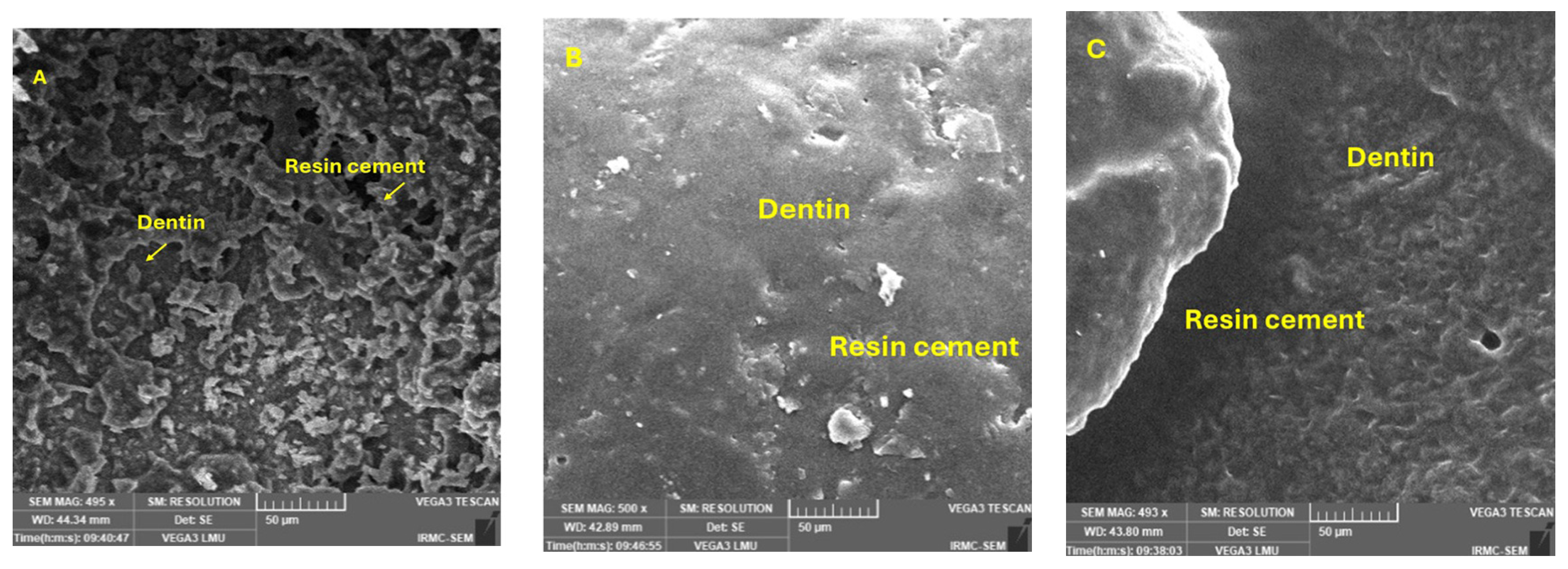 Prosthesis 07 00018 g003