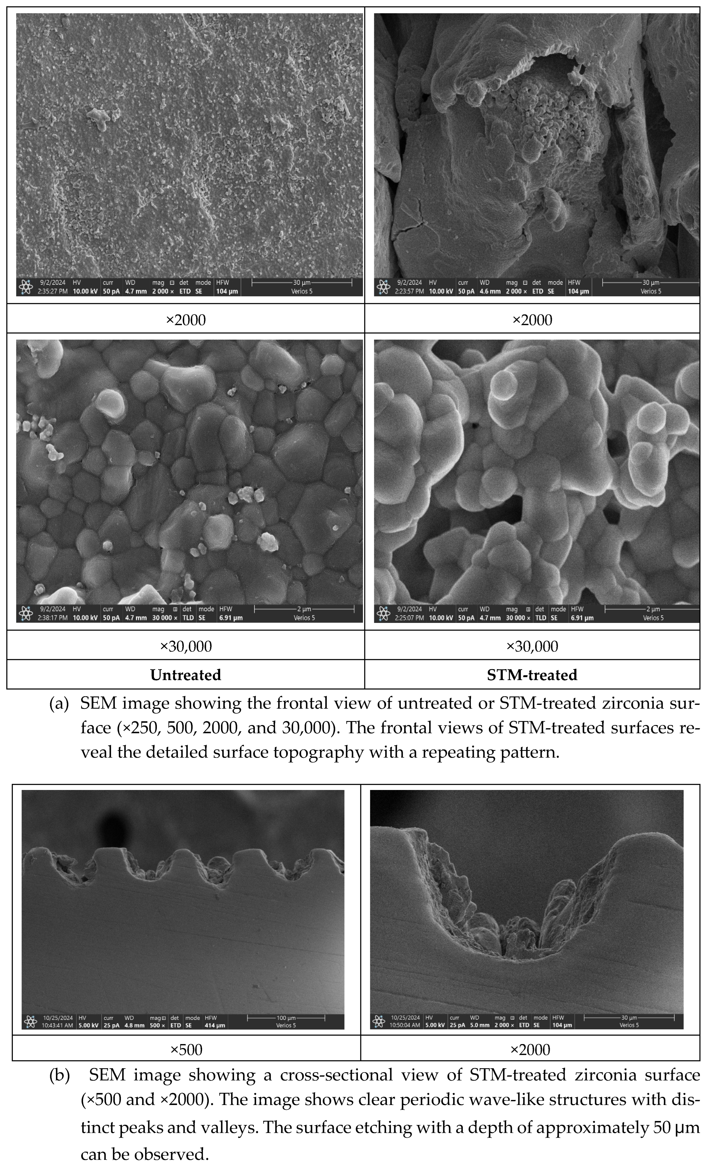 Prosthesis 07 00019 g003b