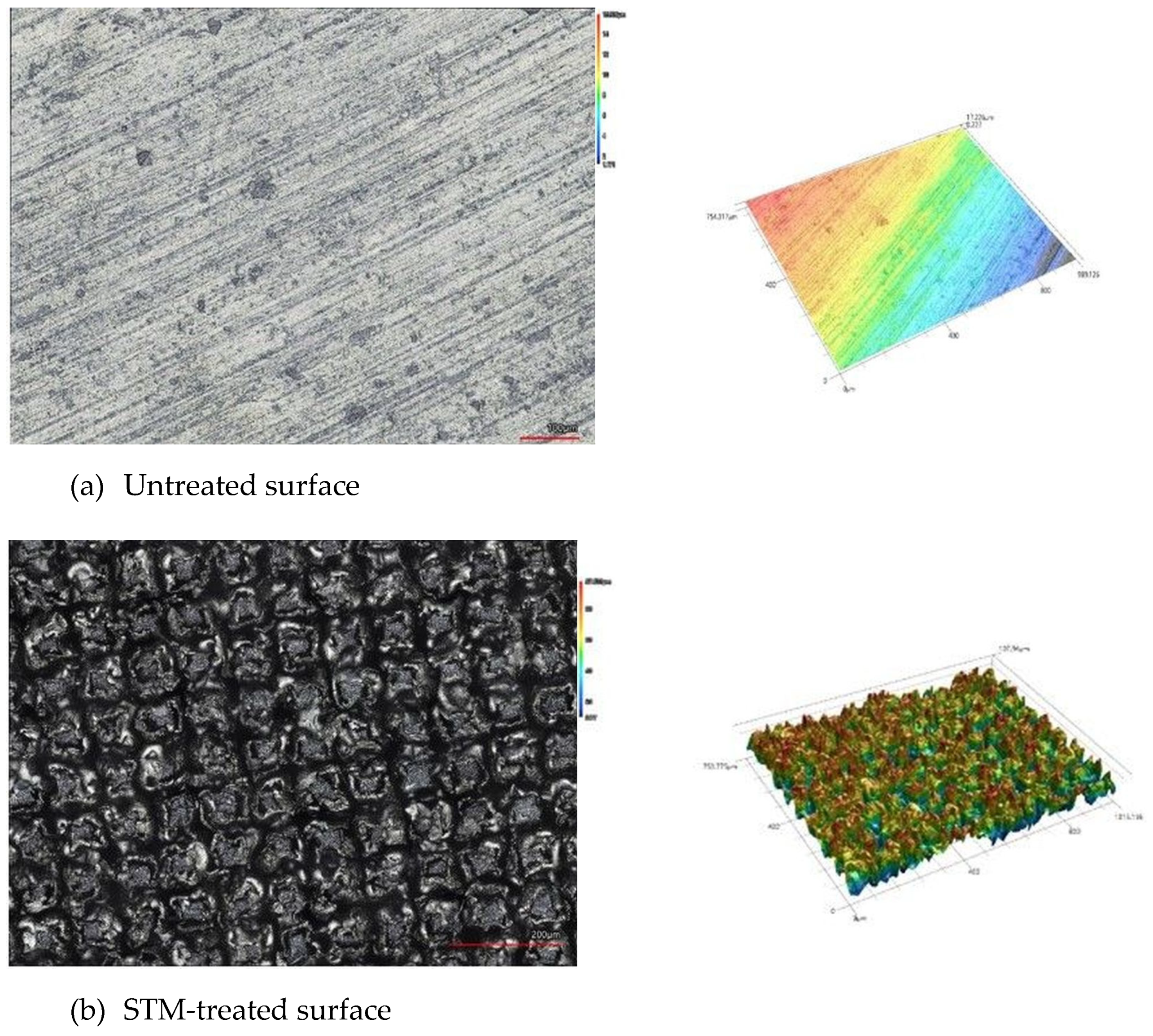 Prosthesis 07 00019 g004