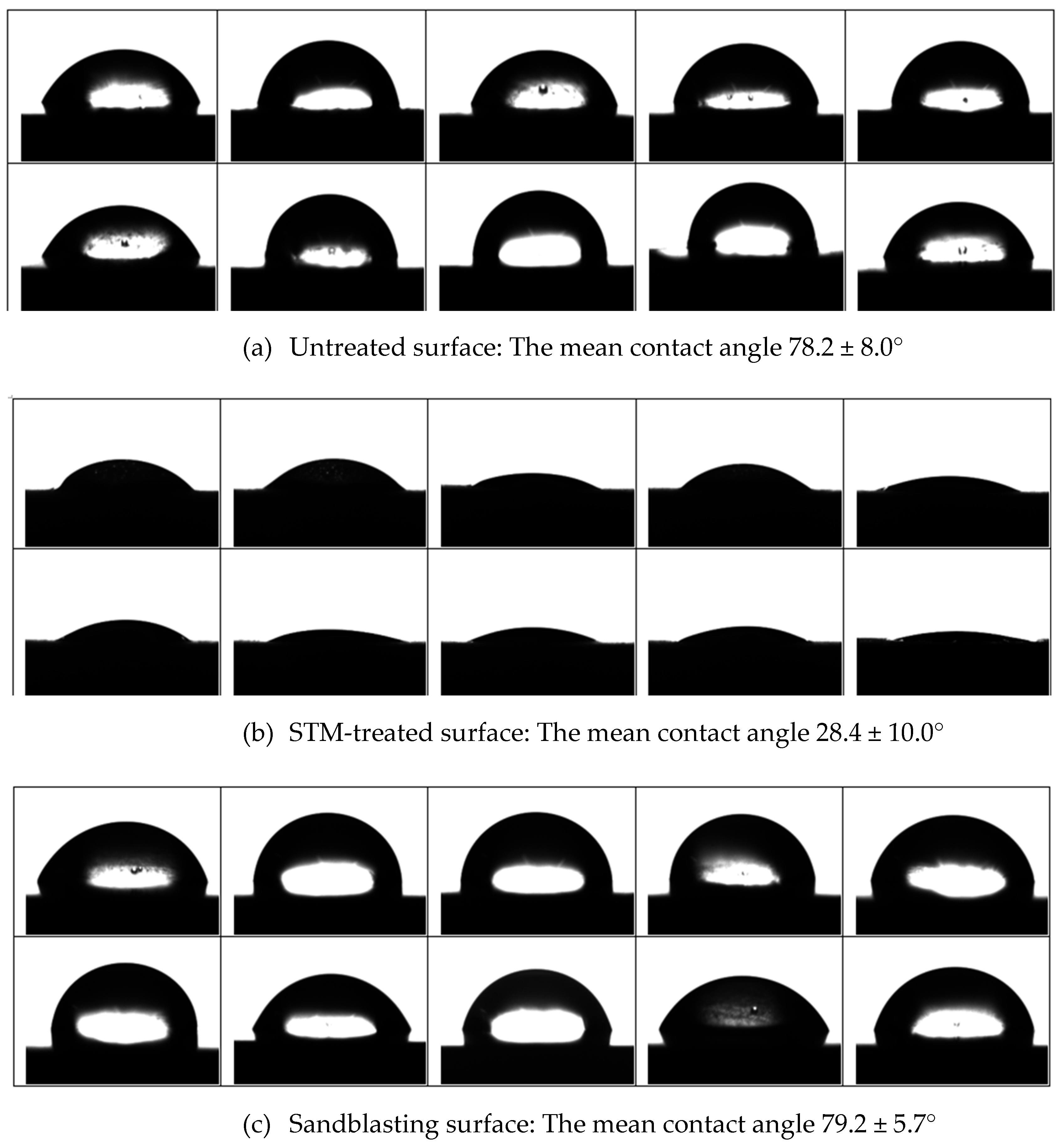 Prosthesis 07 00019 g005