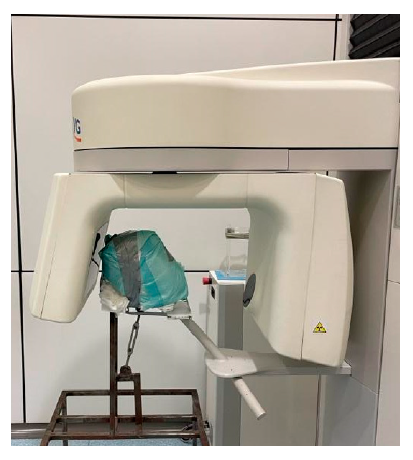 Prosthesis 07 00020 g002