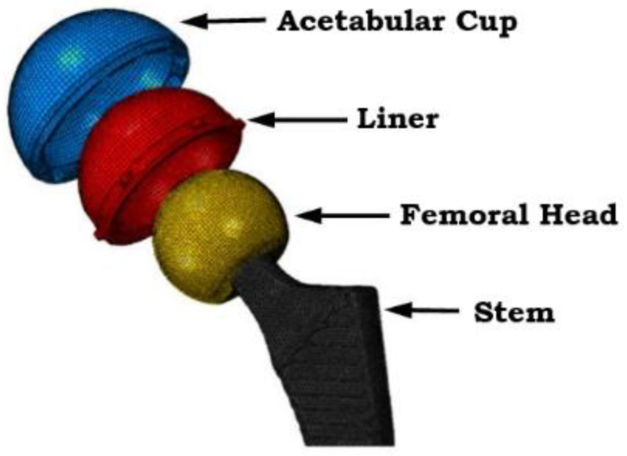 Prosthesis 07 00021 g002