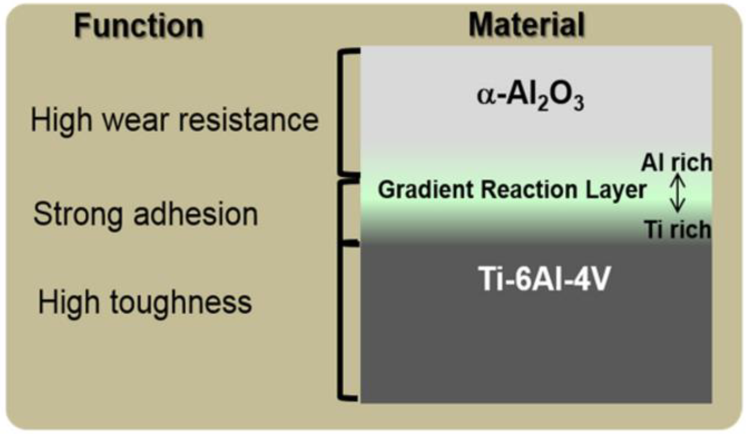 Prosthesis 07 00021 g004